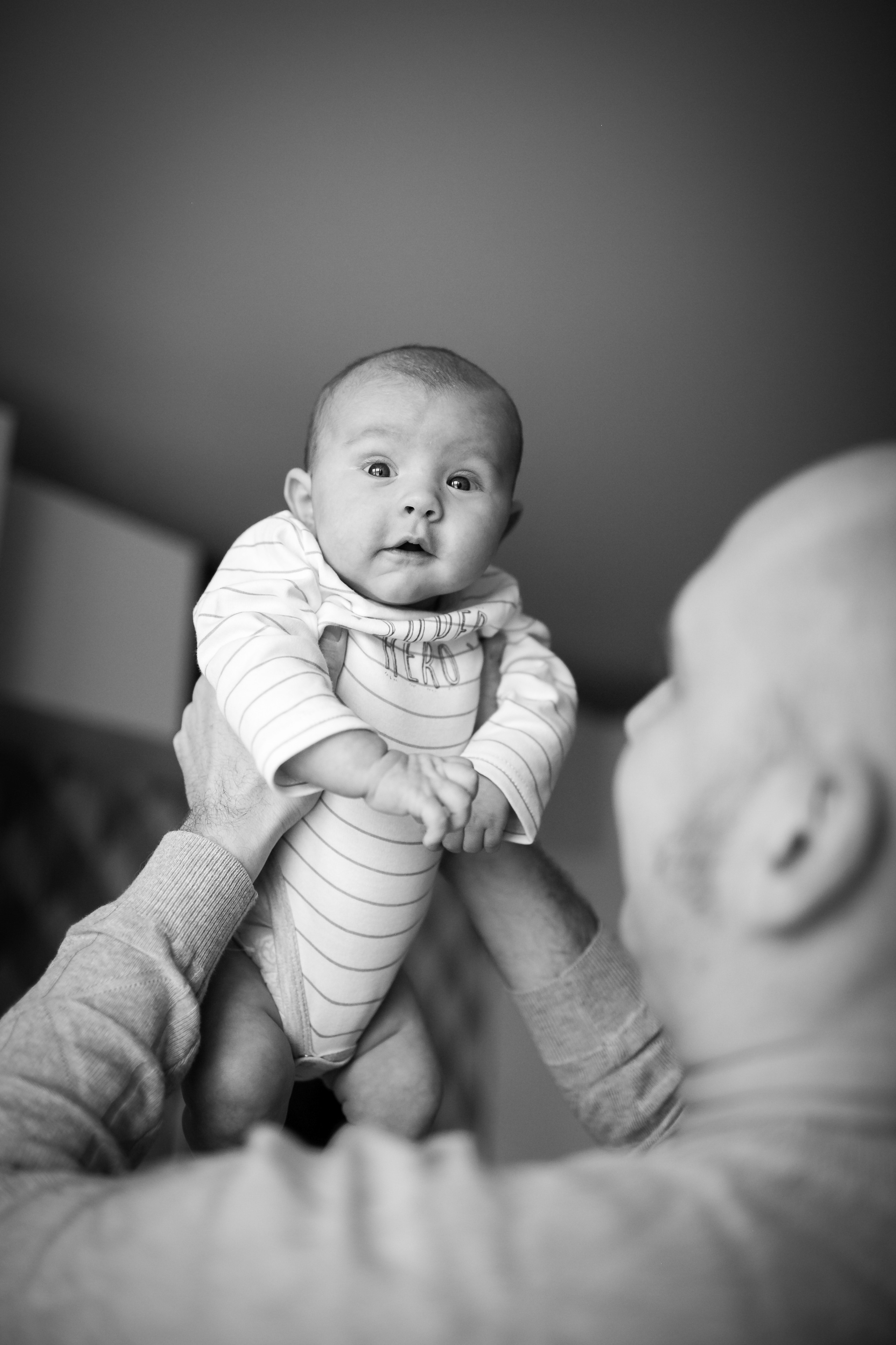 Ольга и ее большая семья. Домашняя история. Детский и семейный фотограф в Москве и московской области Елена Титова