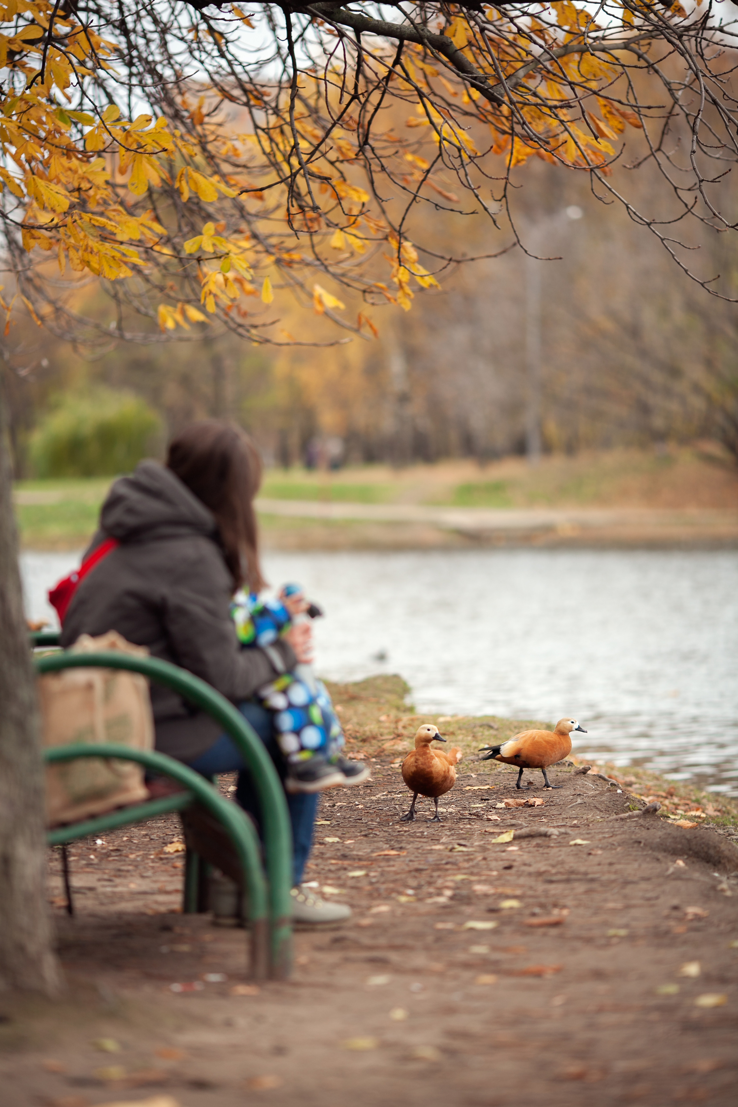 Даша и Данила. Детский и семейный фотограф в Москве и московской области Елена Титова