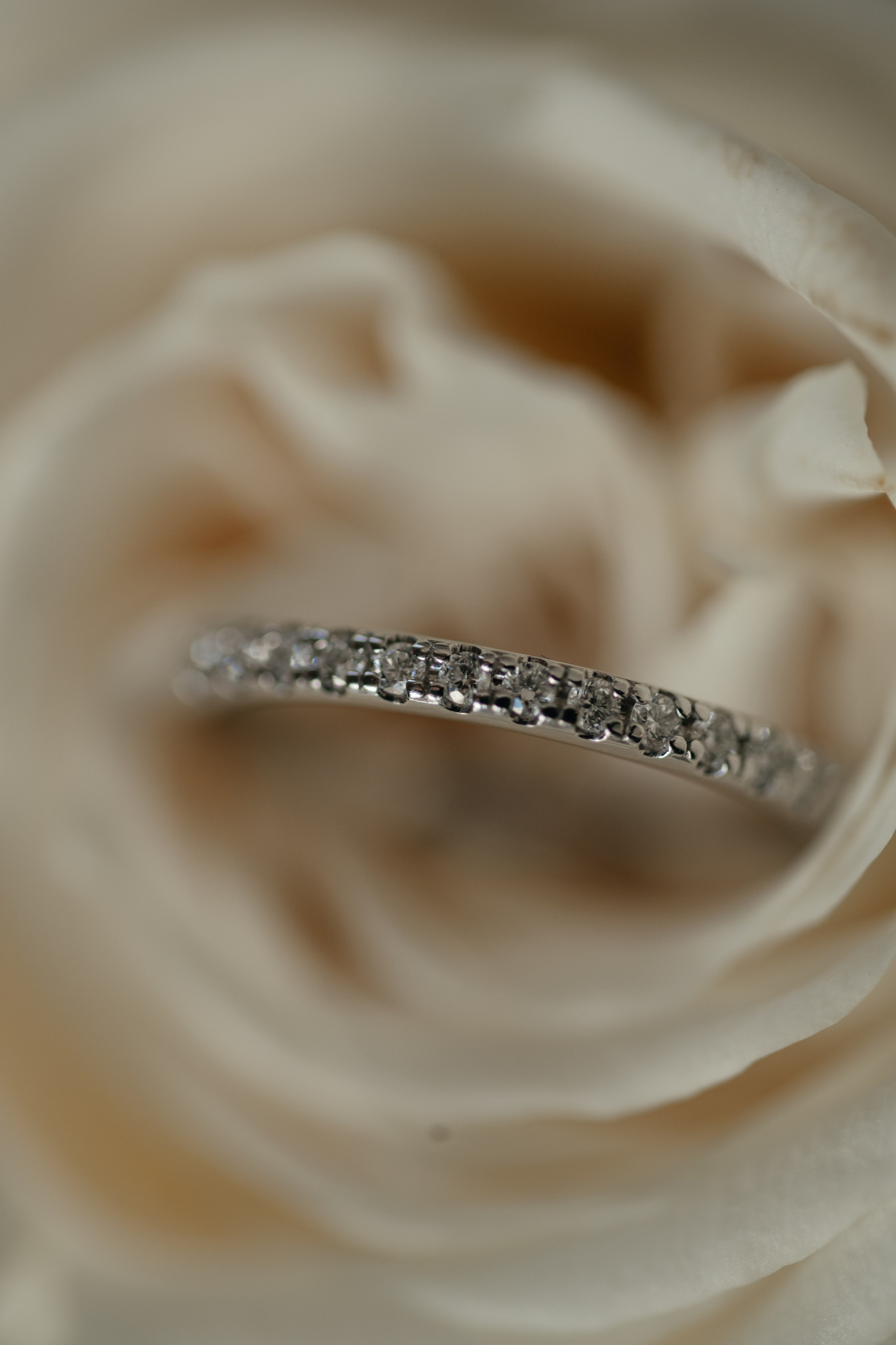 Алексей и Дарья. Свадебный и студийный фотограф Ирина Котикова