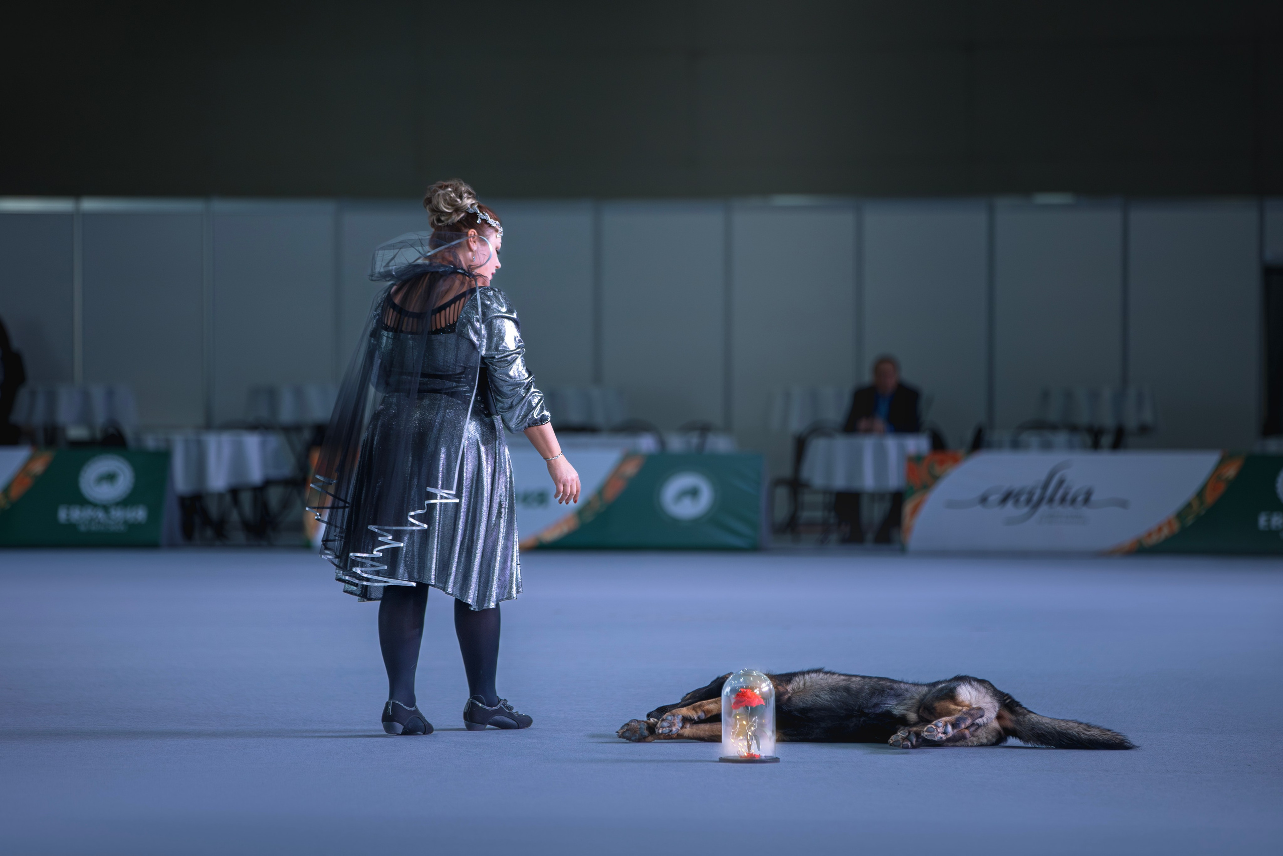 Выставки. Фотограф анималист в Москве Майорова Евгения