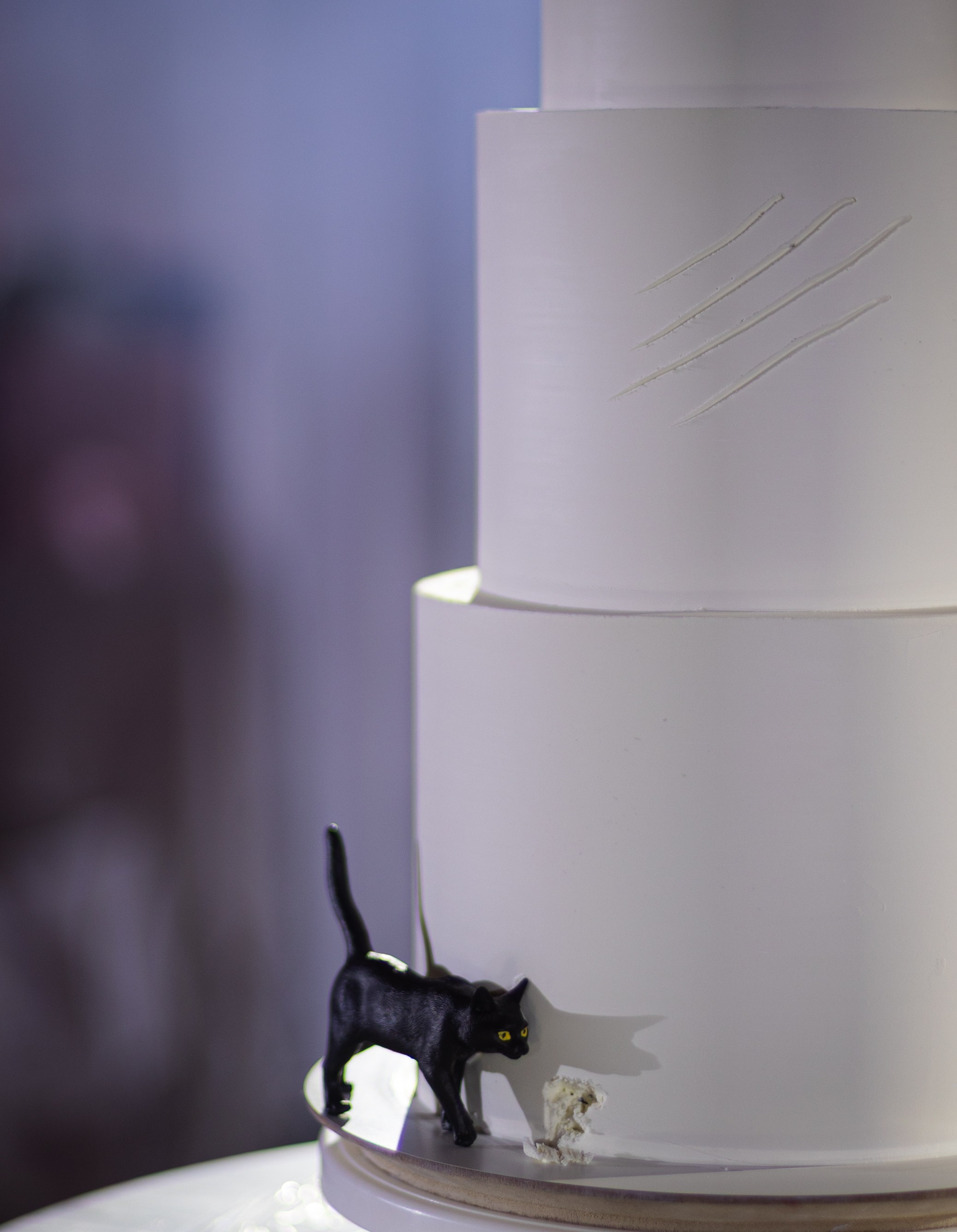 Даниил и Софья. Ваш фотограф — Александра Андрущенко