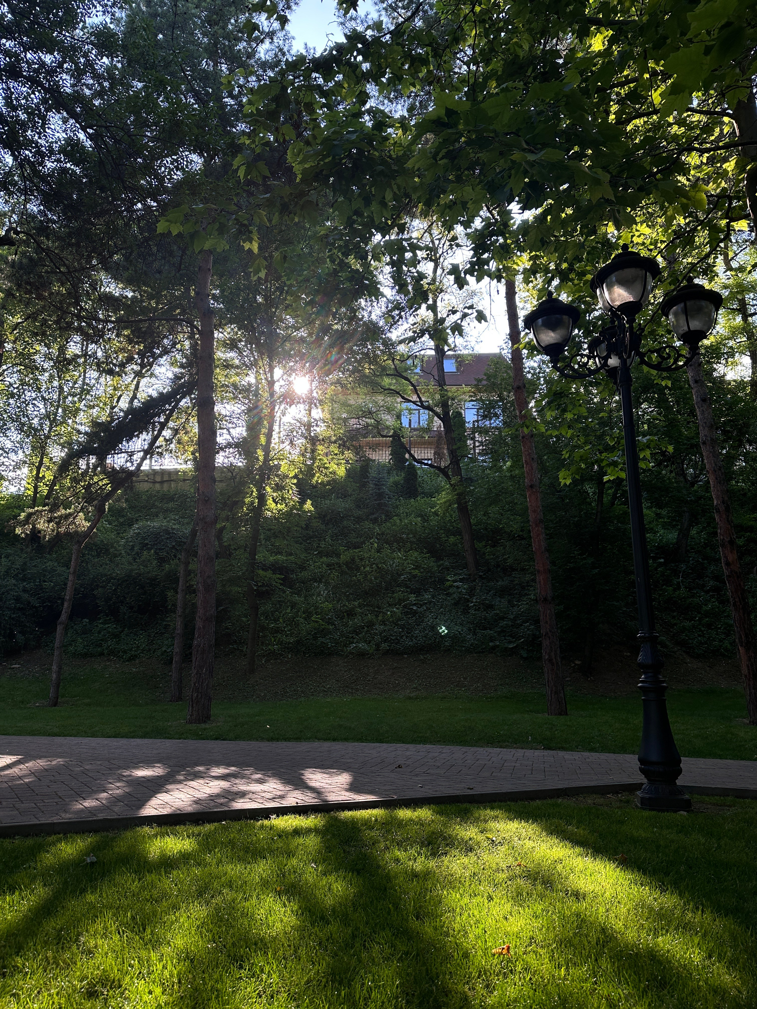 Дети. Смотри, красота!