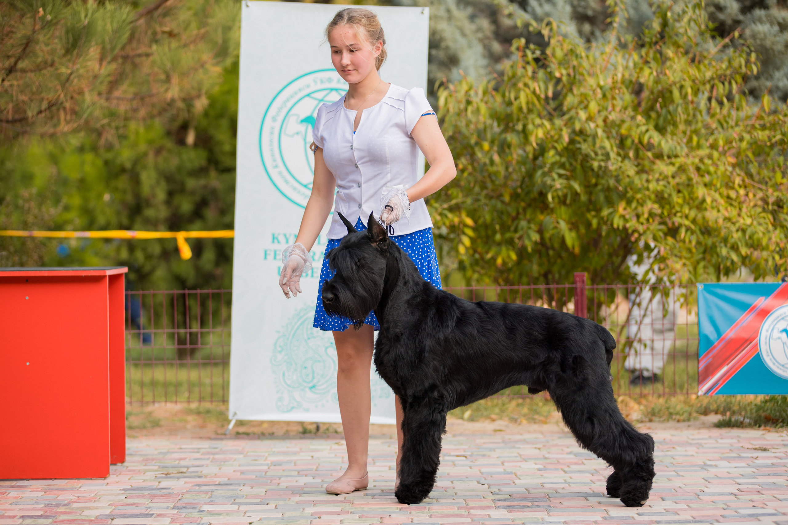 Ташкент 6-8.10.2023 + Алматы 14-15.10.2023. Фотограф-анималист Юлия Германика