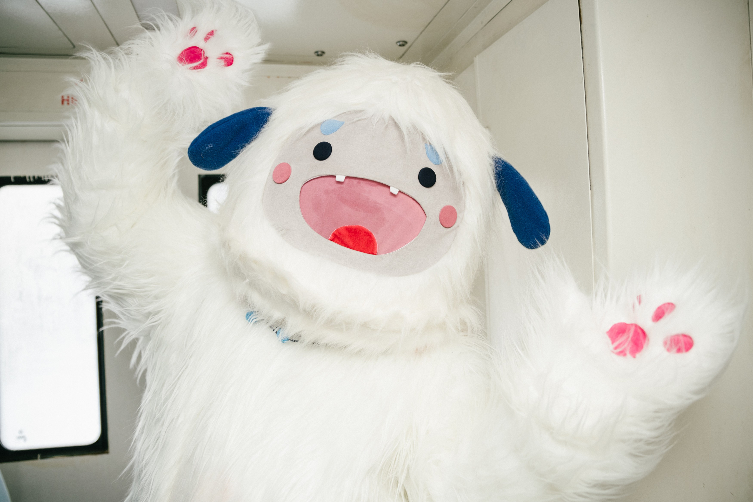 Полярный Экспресс. Репортажный и портретный фотограф в Санкт-Петербурге Степлевич Дарья