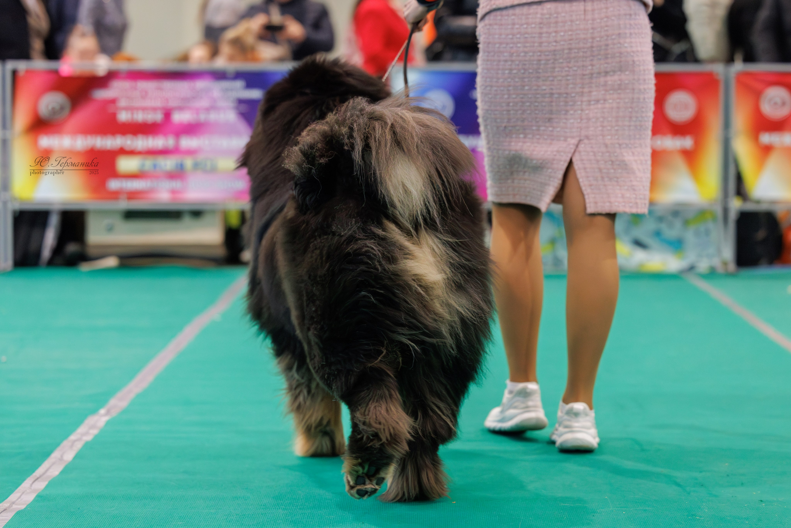 Минск 1-2.03.2025. Фотограф-анималист Юлия Германика