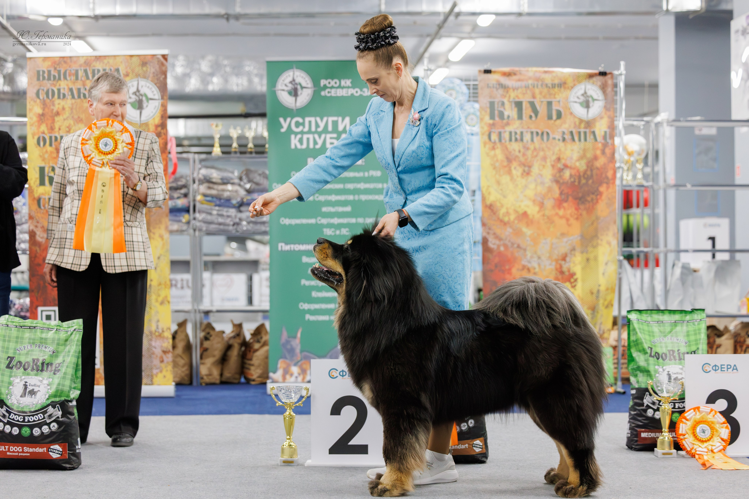 Сфера и Крокус 8,9,16 и 30.03.2025. Фотограф-анималист Юлия Германика