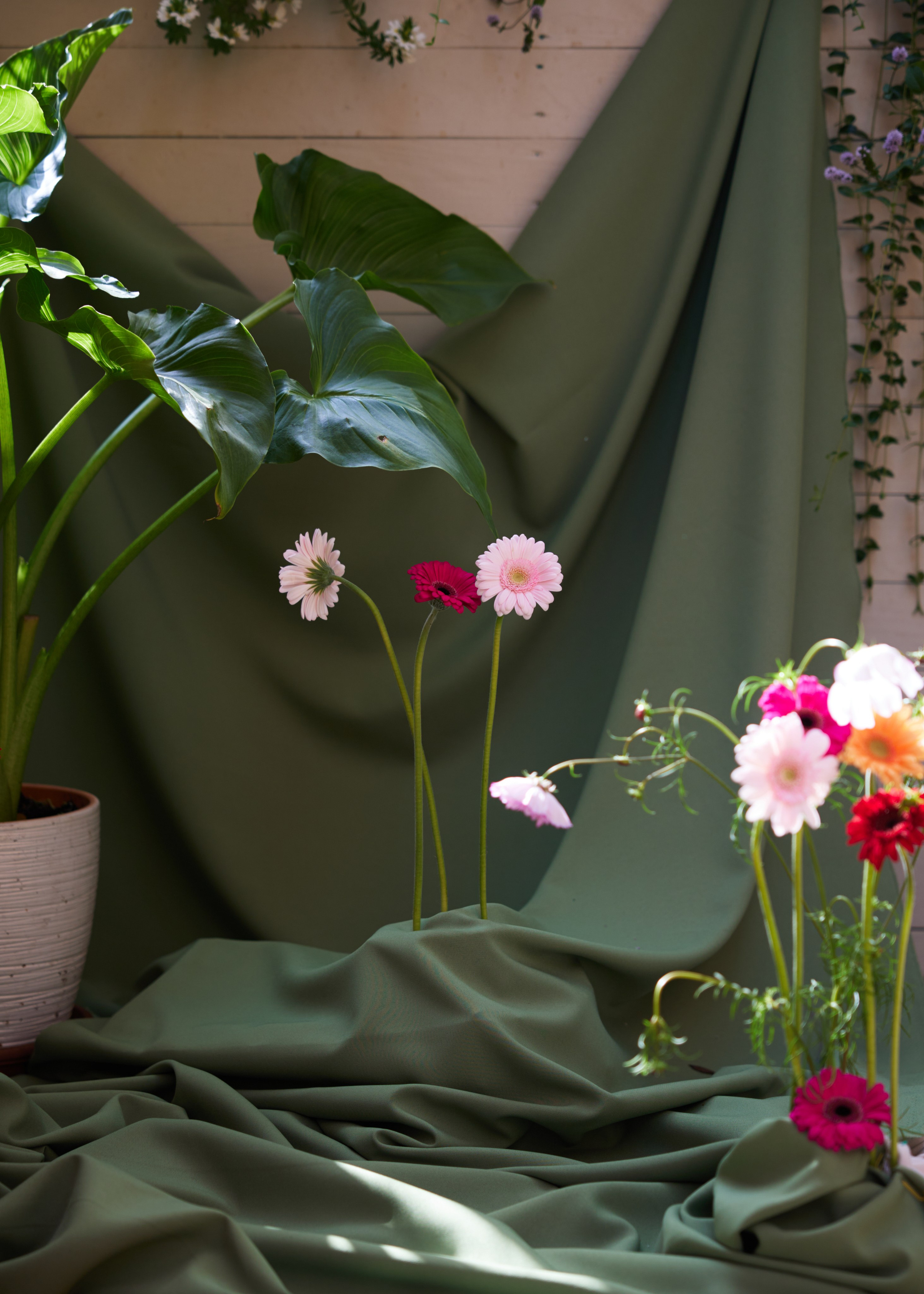 Бумажные украшения и блестки* Костя & Наташа. Фотограф Чугунов Александр