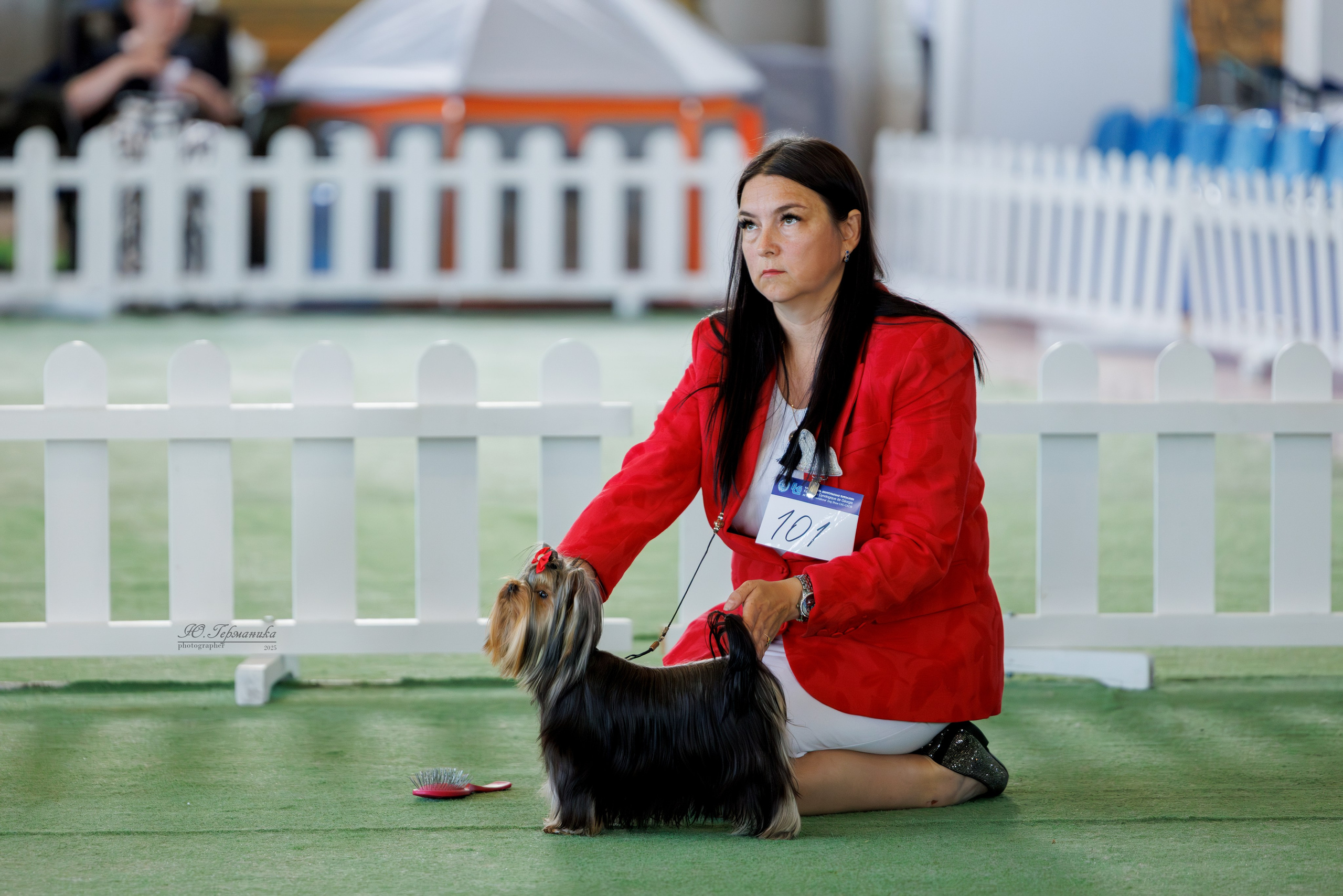 Батуми 3хCACIB 27-29.06.2025. Фотограф-анималист Юлия Германика