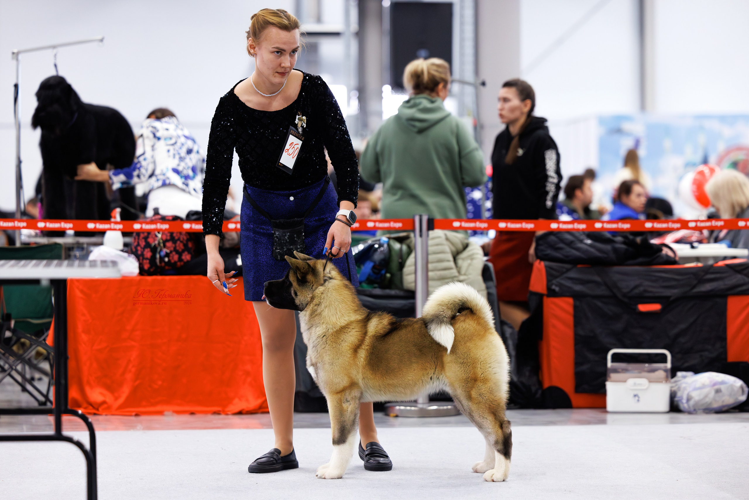 Казань Зилант 30-01.12 2024. Фотограф-анималист Юлия Германика