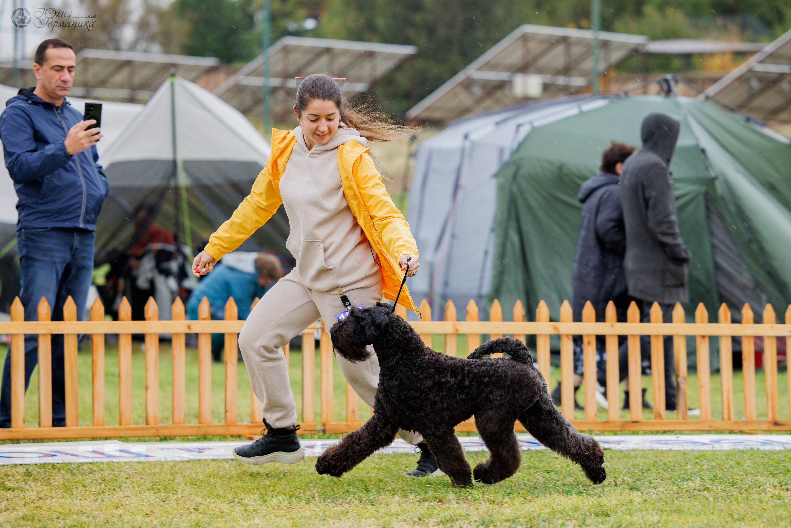 Армения,Ереван 3хCACIB 15-17.10.2024. Фотограф-анималист Юлия Германика