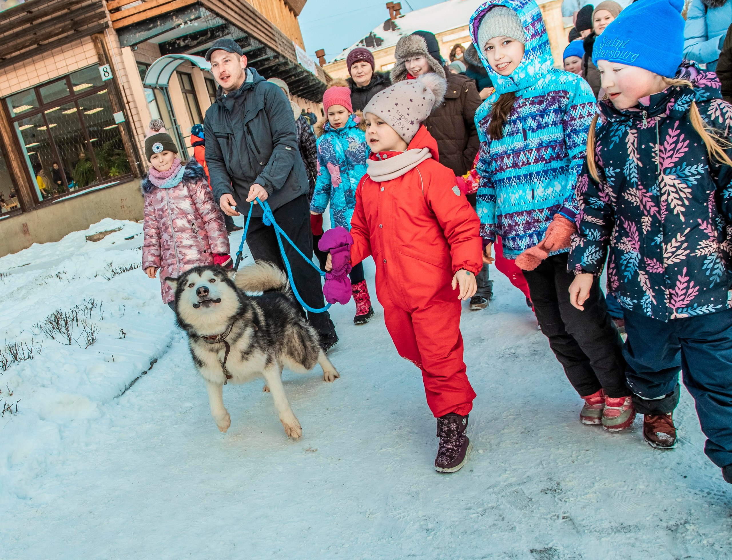 ЭНЕРГИЯ СЕВЕРА. Репортажный фотограф Петрозаводск Сергей Киренков