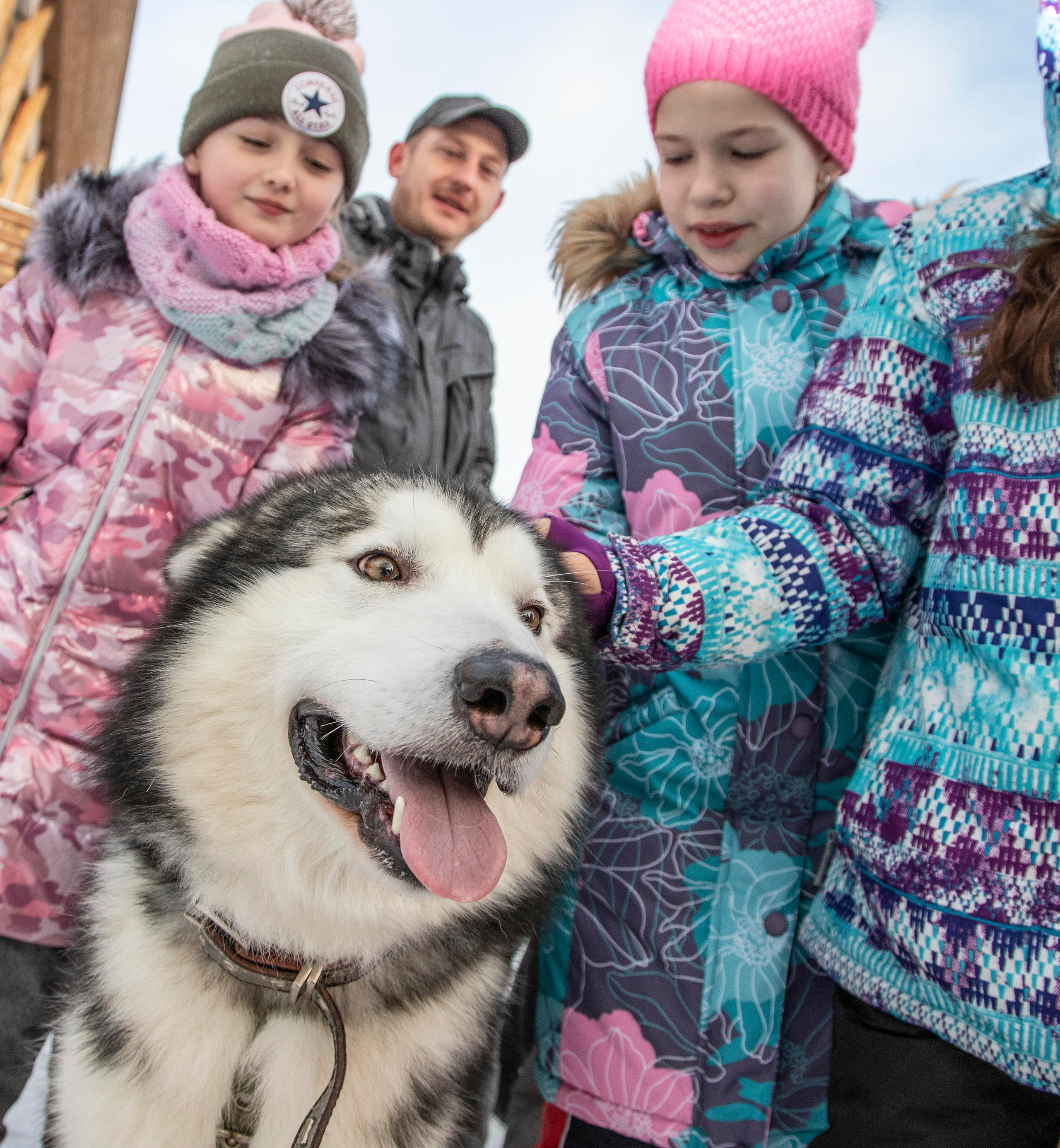 ЭНЕРГИЯ СЕВЕРА. Репортажный фотограф Петрозаводск Сергей Киренков