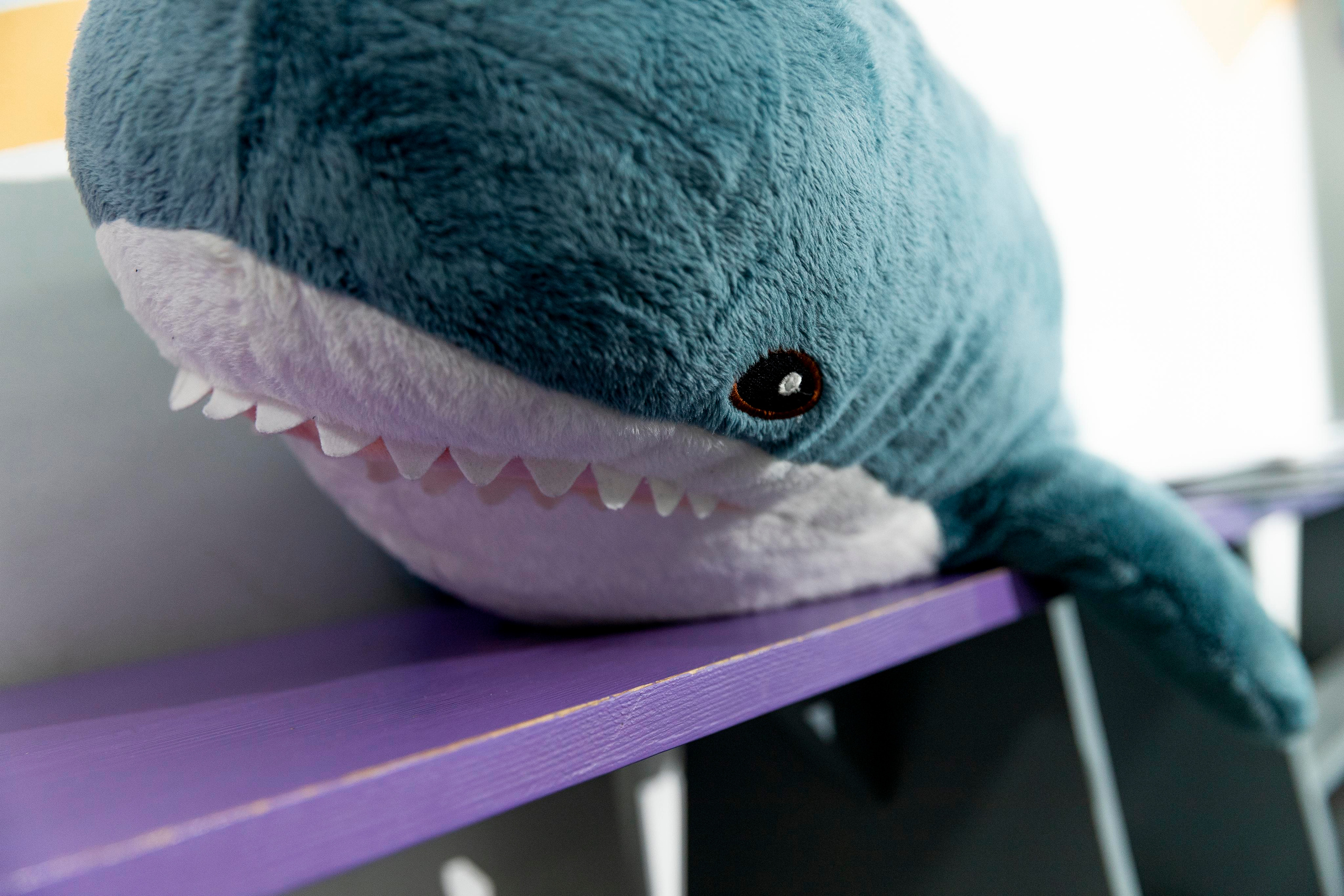 Факультет Z. Выпускной. Репортажный фотограф Петрозаводск Сергей Киренков