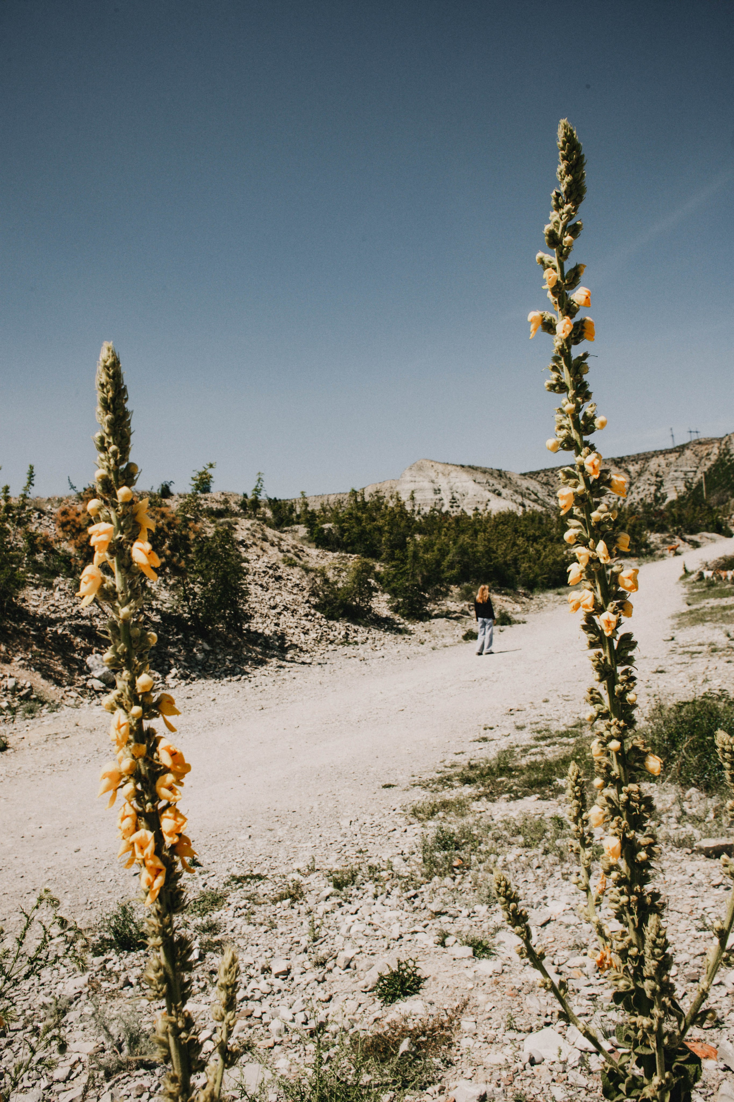 Дагестан. Чечня. 2024. Фотограф в Нижнем Новгороде