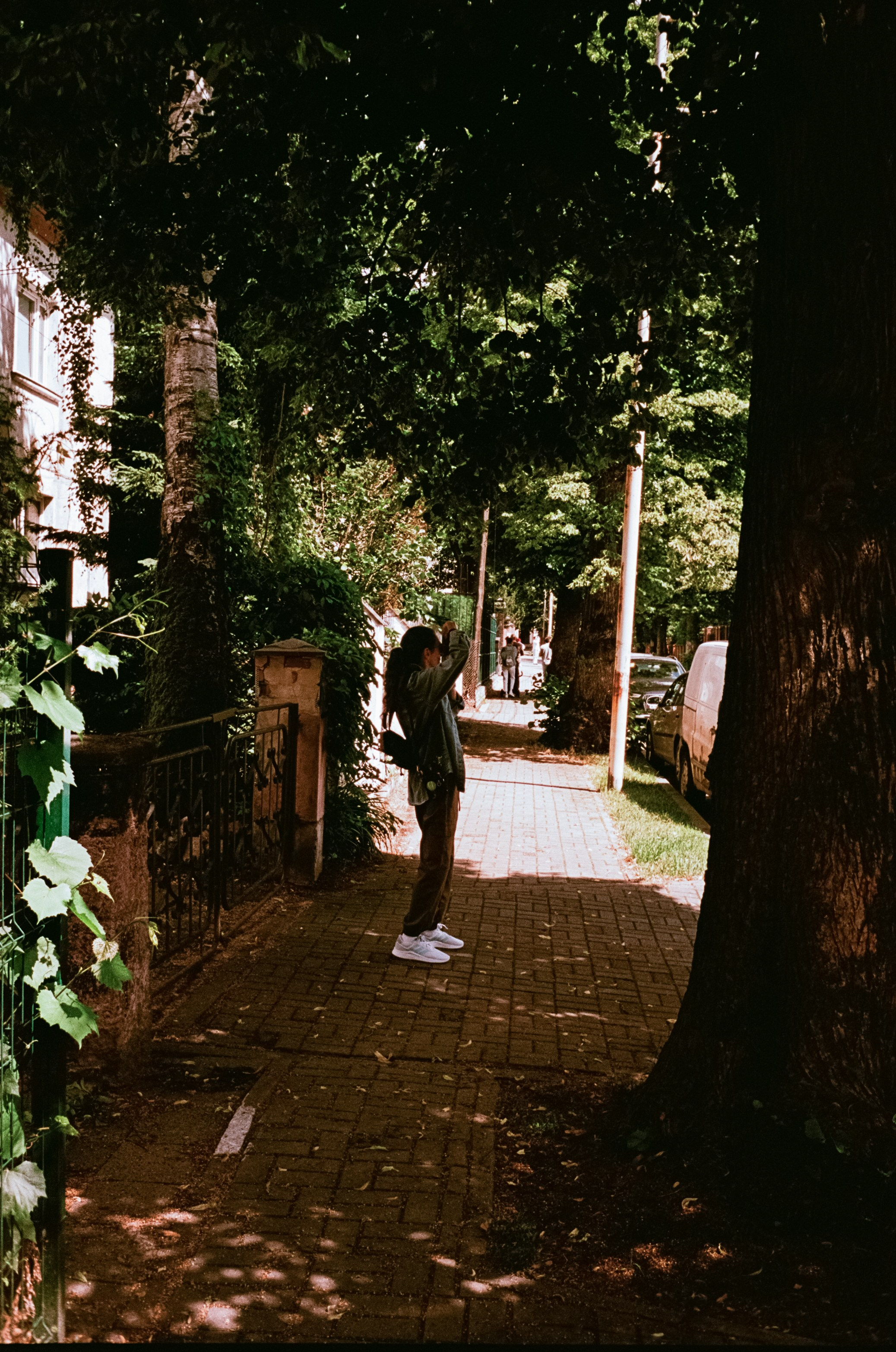 Калининград в солнечный день 7 июля 2024 года / Aerocolor IV / Minox 35GT (2)