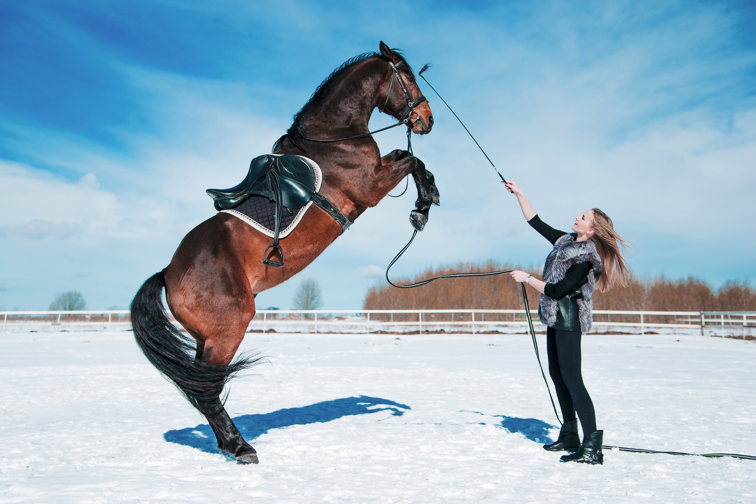 Классический. Свободный фотограф