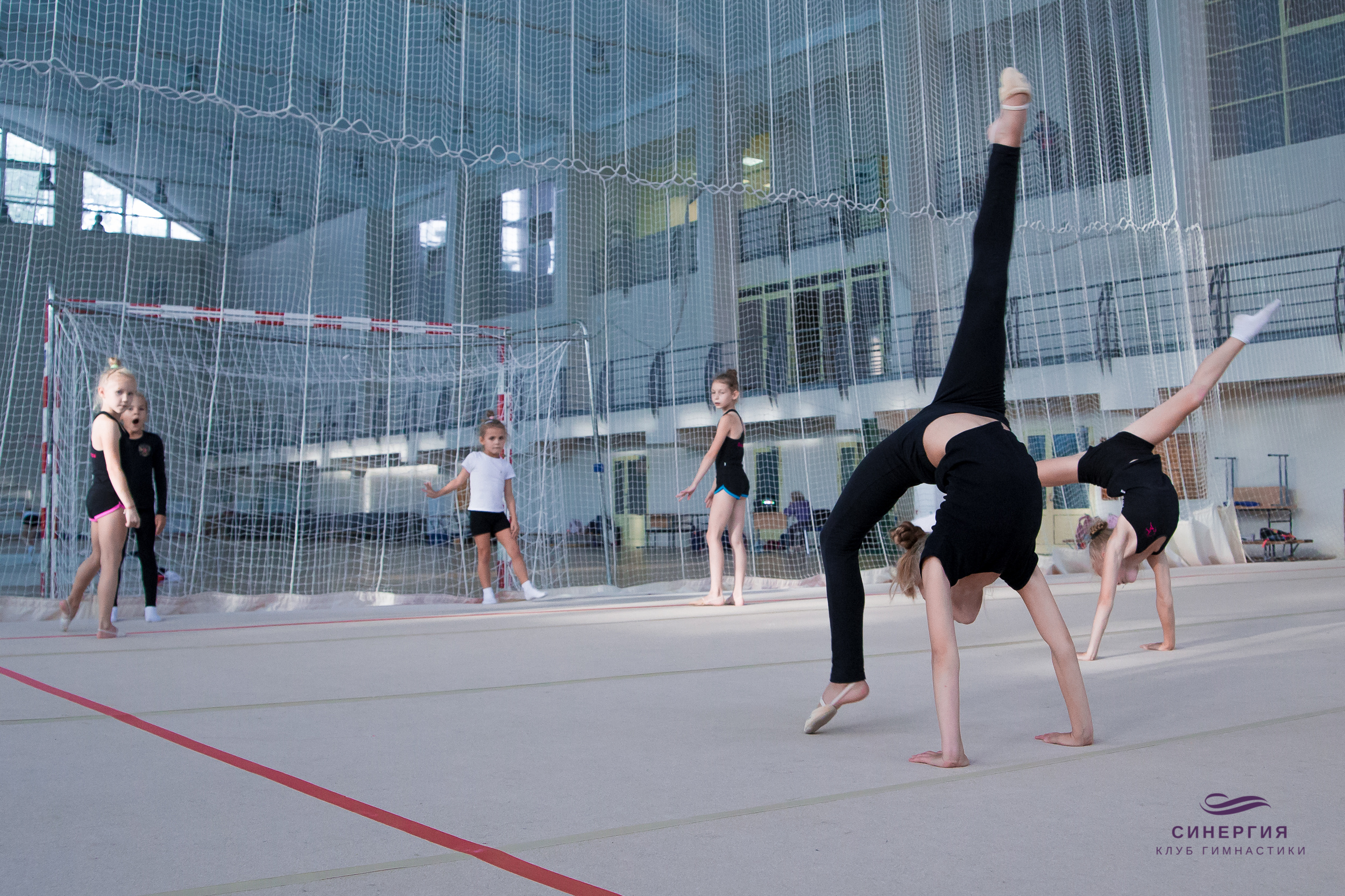 Спорт. Свободный фотограф