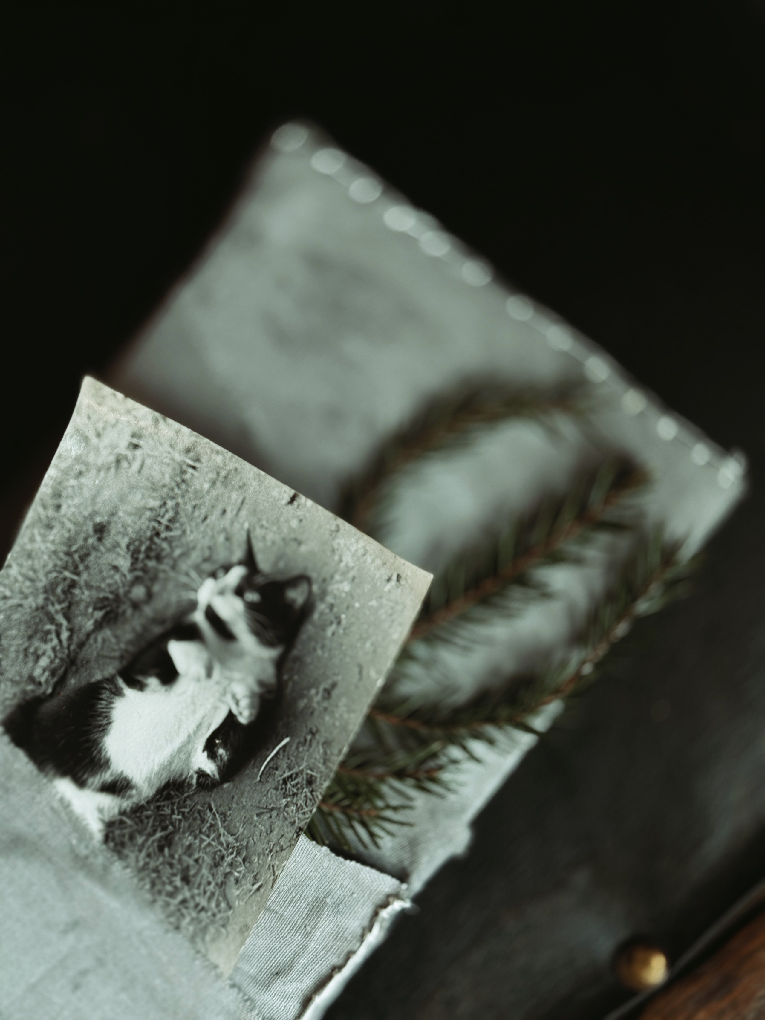 Упаковка Подарков. Фотограф Настя Лев