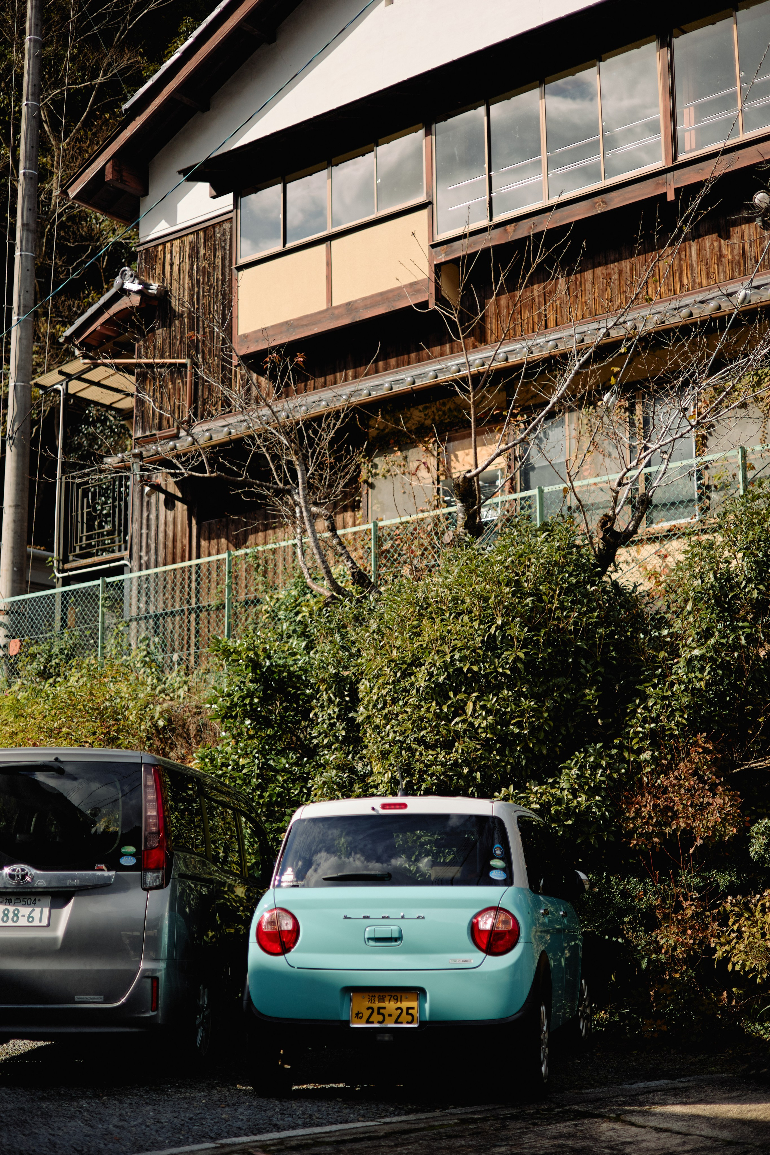 Япония. Профессиональный Фотограф во Владимире, в Москве и в Суздале — Полина Романычева