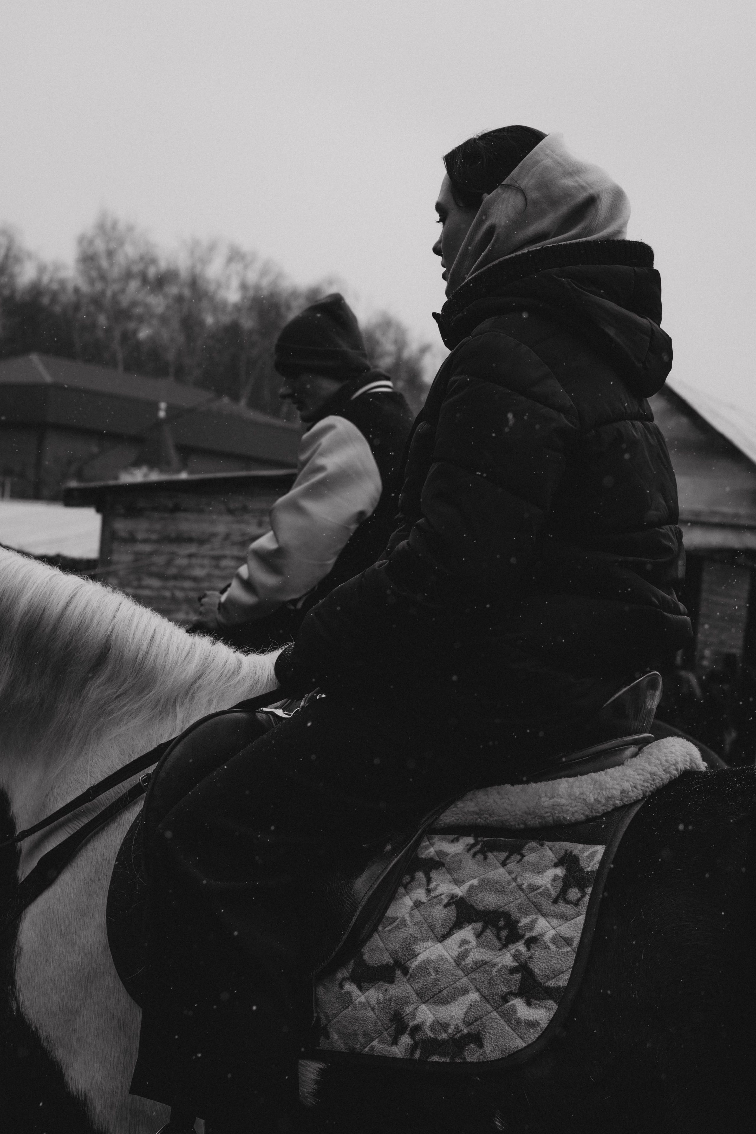 Конная прогулка. Фотограф Москва Валерия Веденина