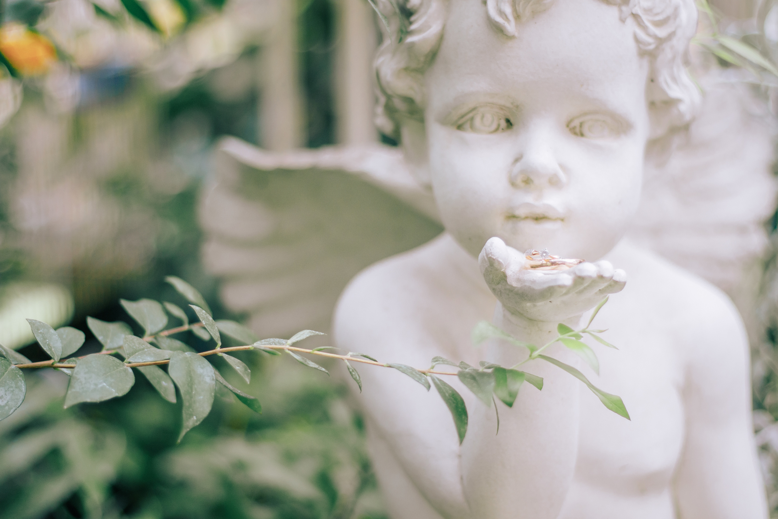 Фотограф на свадьбу Света Иванова - ПОРТФОЛИО. Светлана Иванова - профессиональный фотограф