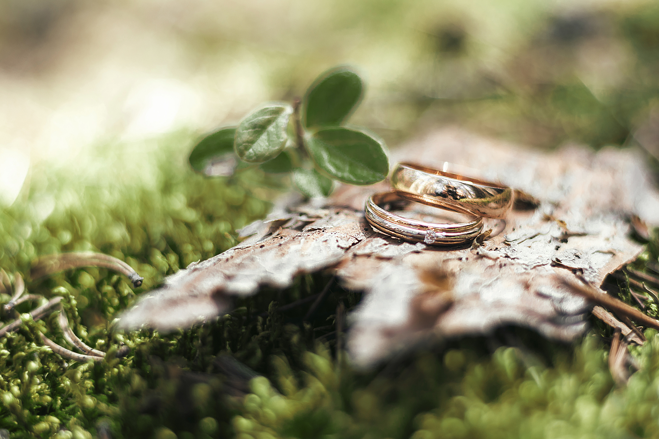 Свадебная фотокнига в Твери. Светлана Иванова - профессиональный фотограф