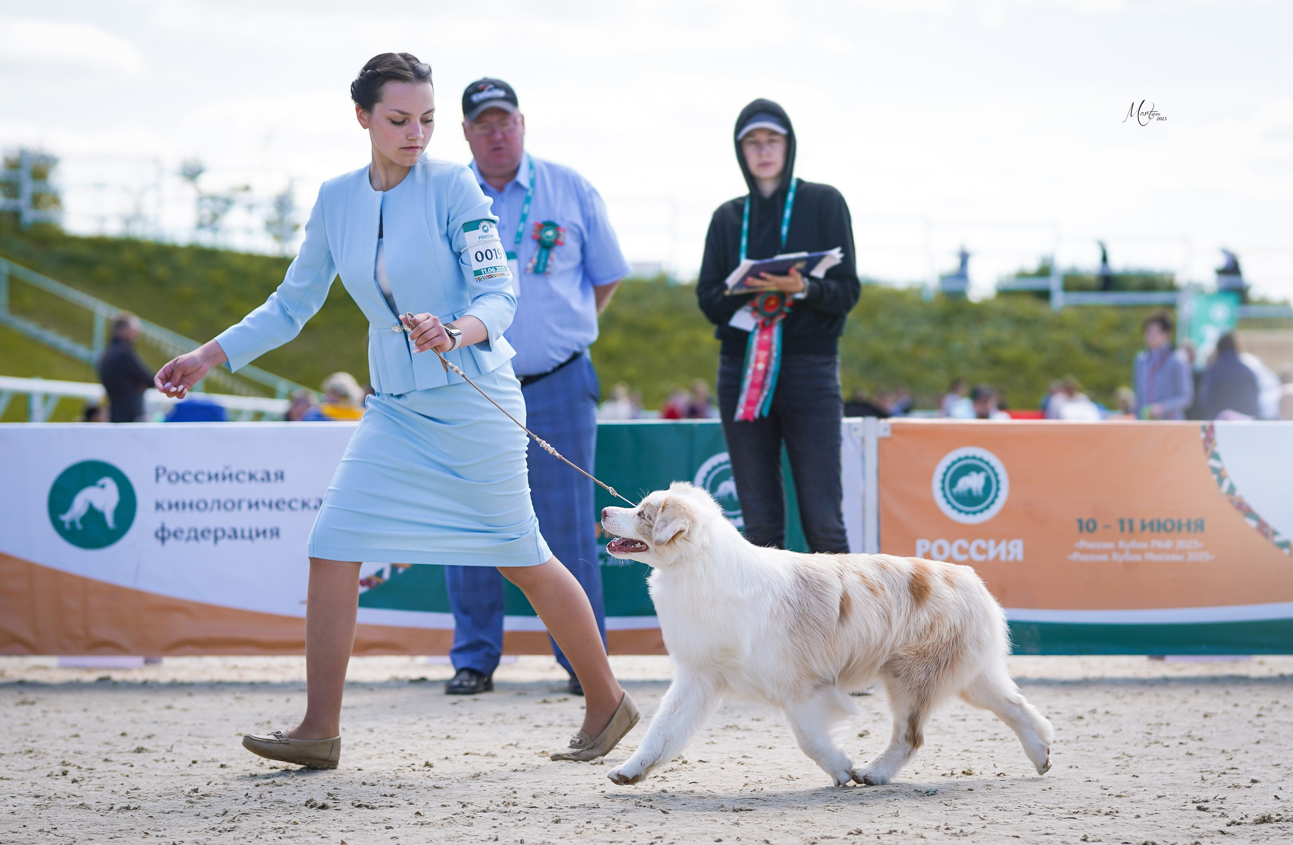 Выставки 2023. Фотограф-анималист в Санкт-Петербурге Яна Мартынова