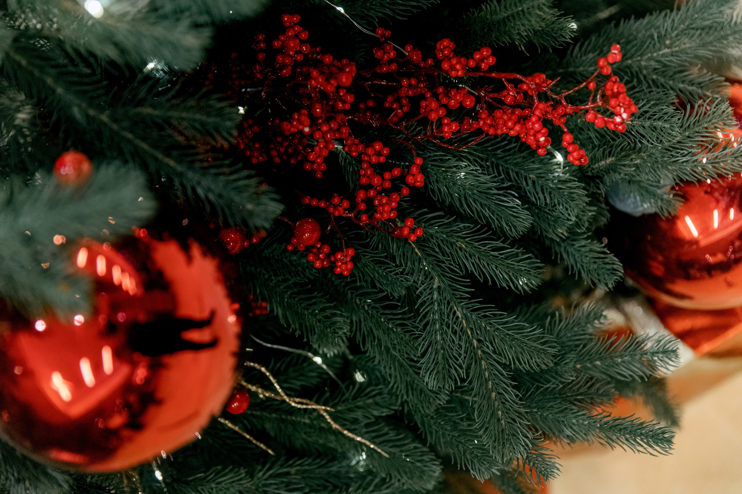 ПОКОЛЕНИЕ БУДУЩЕГО. Фотограф в Красноярске