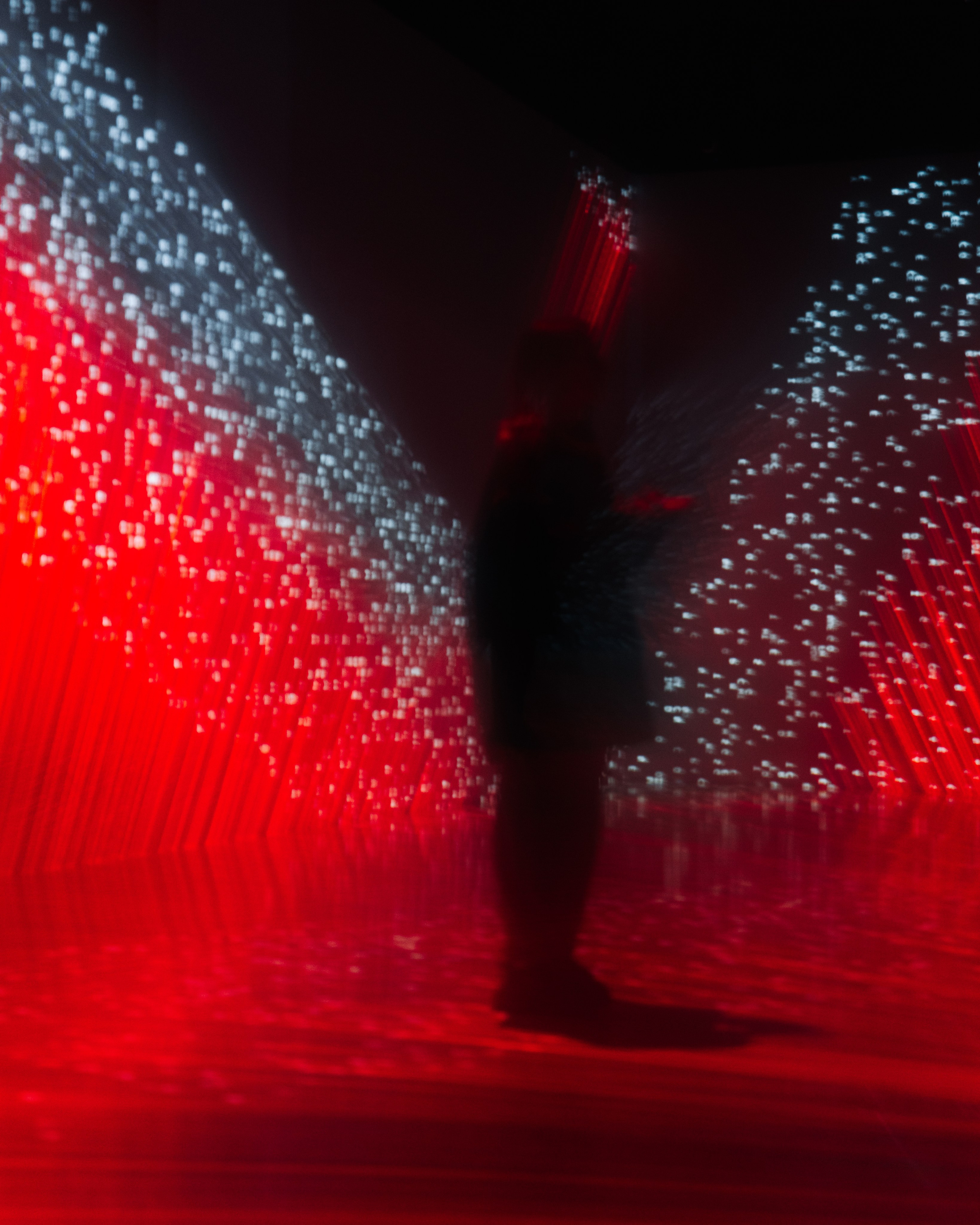 Generative Gallery & Luminar X, Making Magic. @tomrus: Рустам Шагиморданов — фотограф