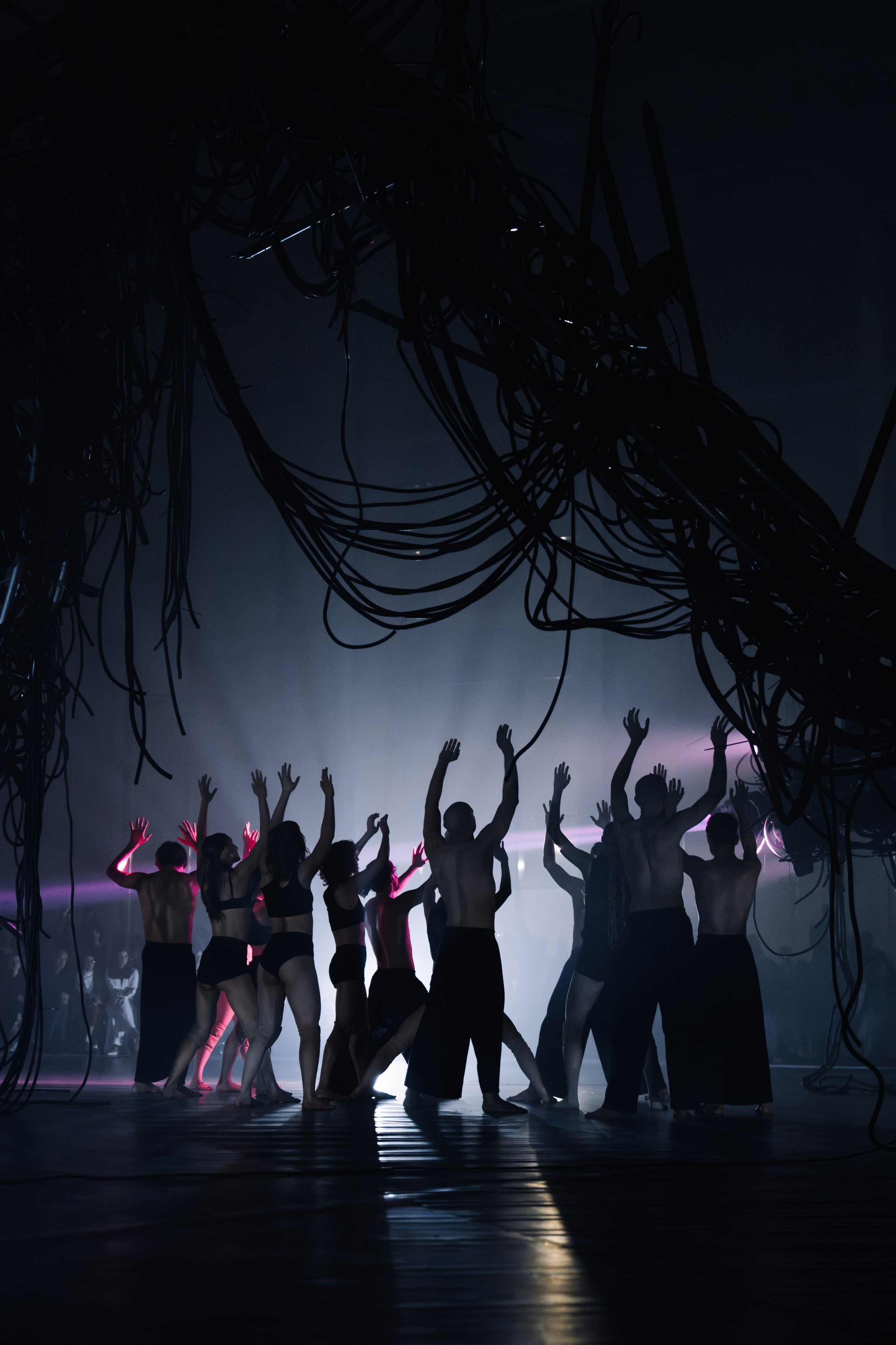 PERFORMA, The Hour of the Horse. @tomrus: Рустам Шагиморданов — фотограф