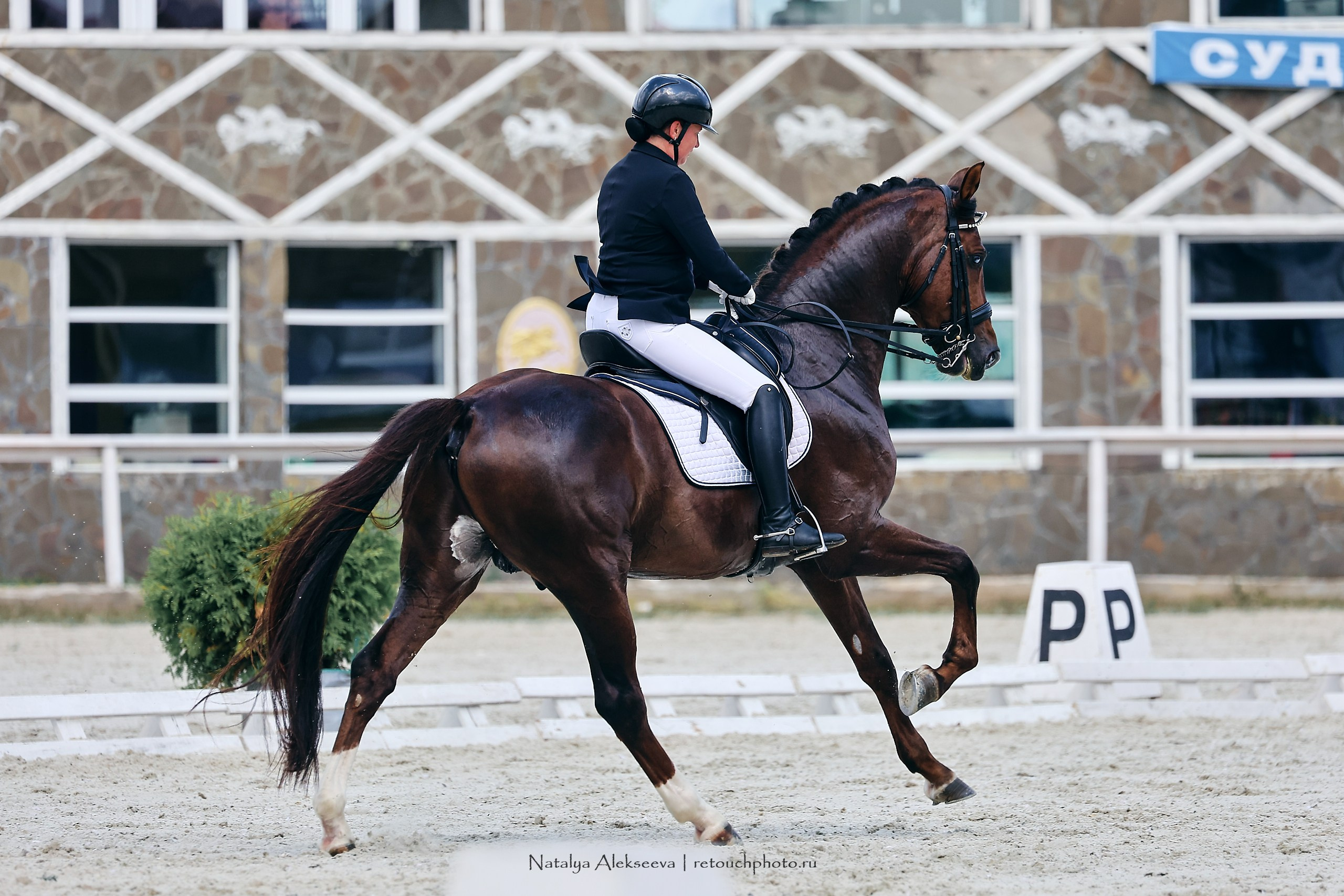 Личный ЧР по выездке, КСК Конаковские конюшни | 08'2023. Репортажный фотограф и ретушер в Москве Наталья Алексеева