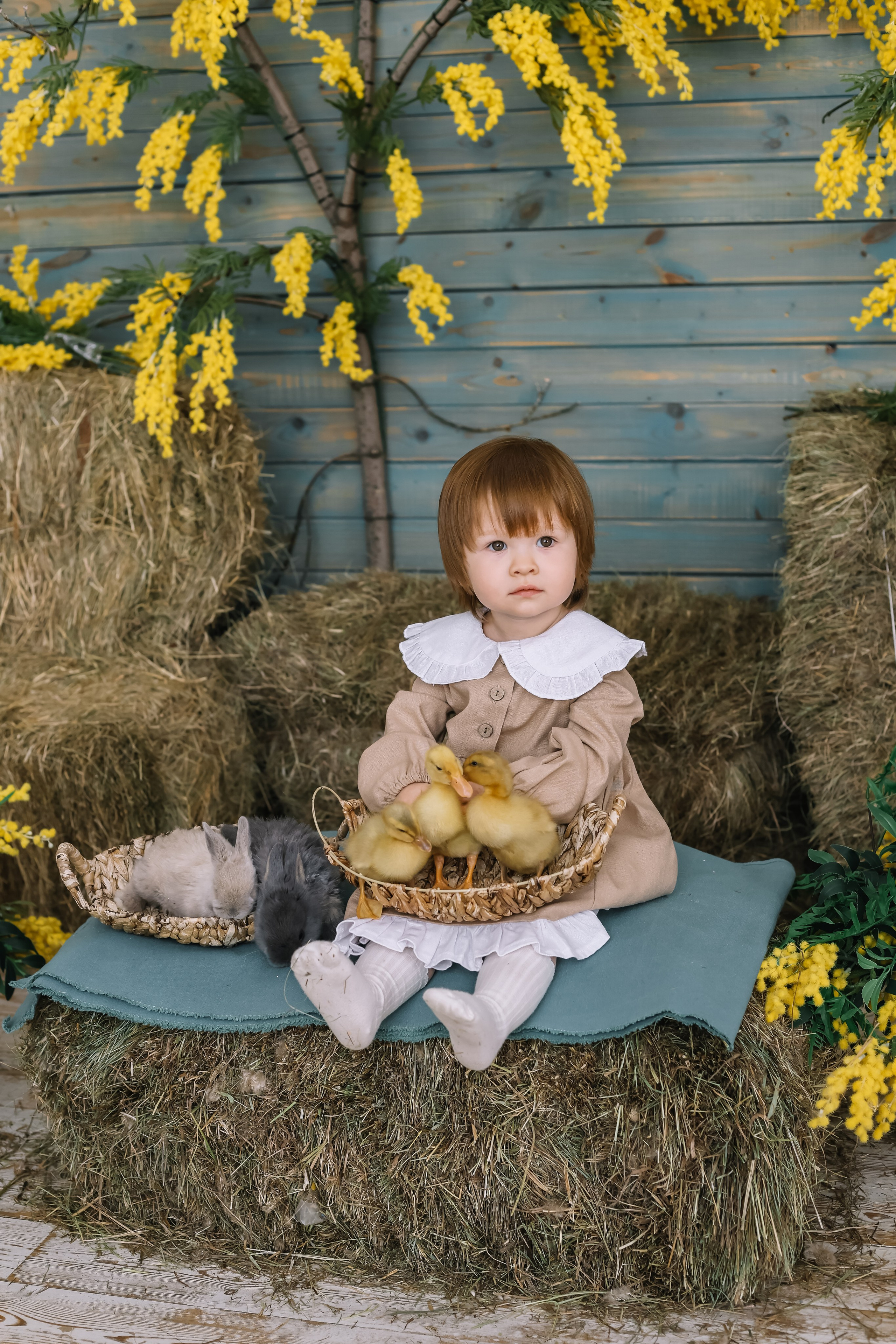 Утята. Фотограф и видеограф Анна Домашенко