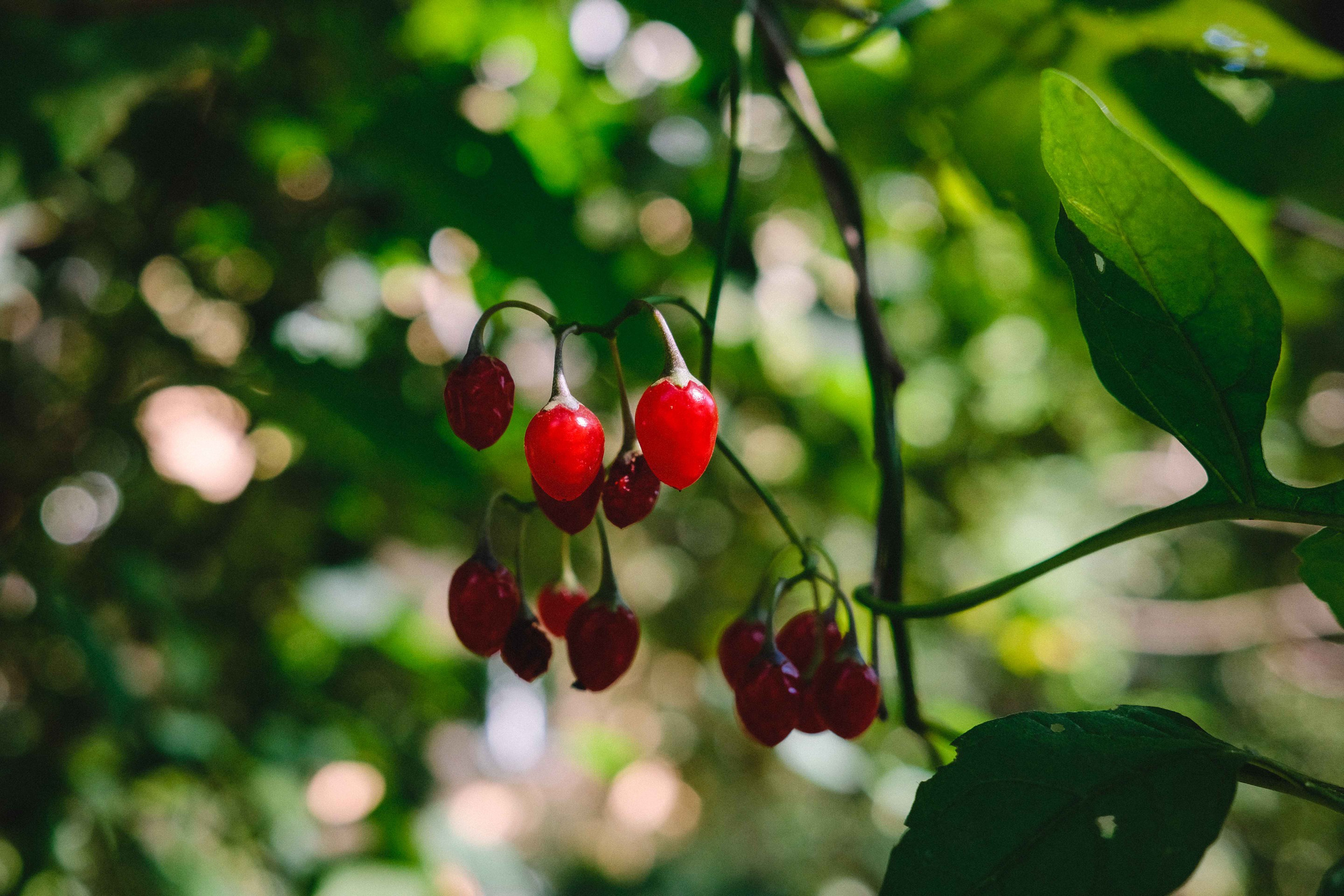 2023.08. Фотограф Алексей Алексеев