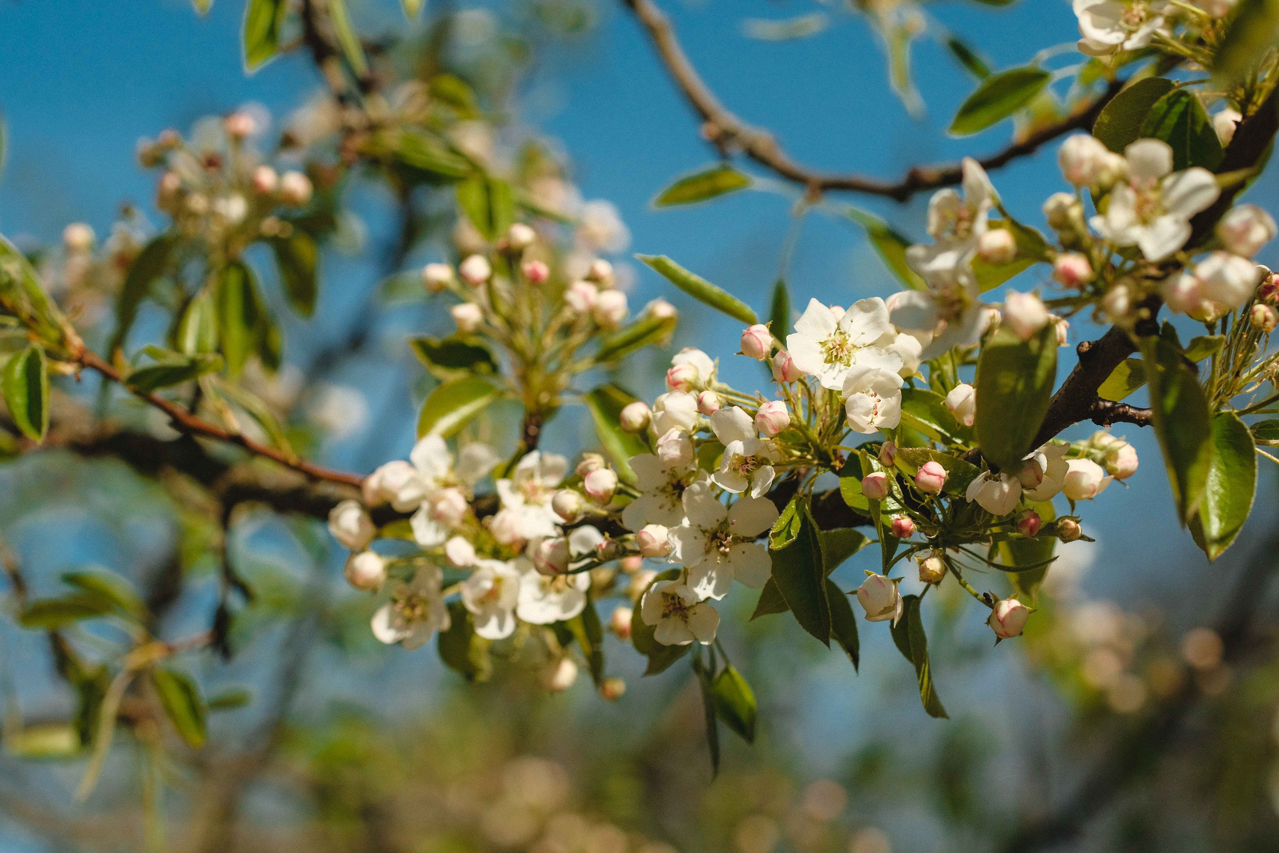 2023.05. Фотограф Алексей Алексеев