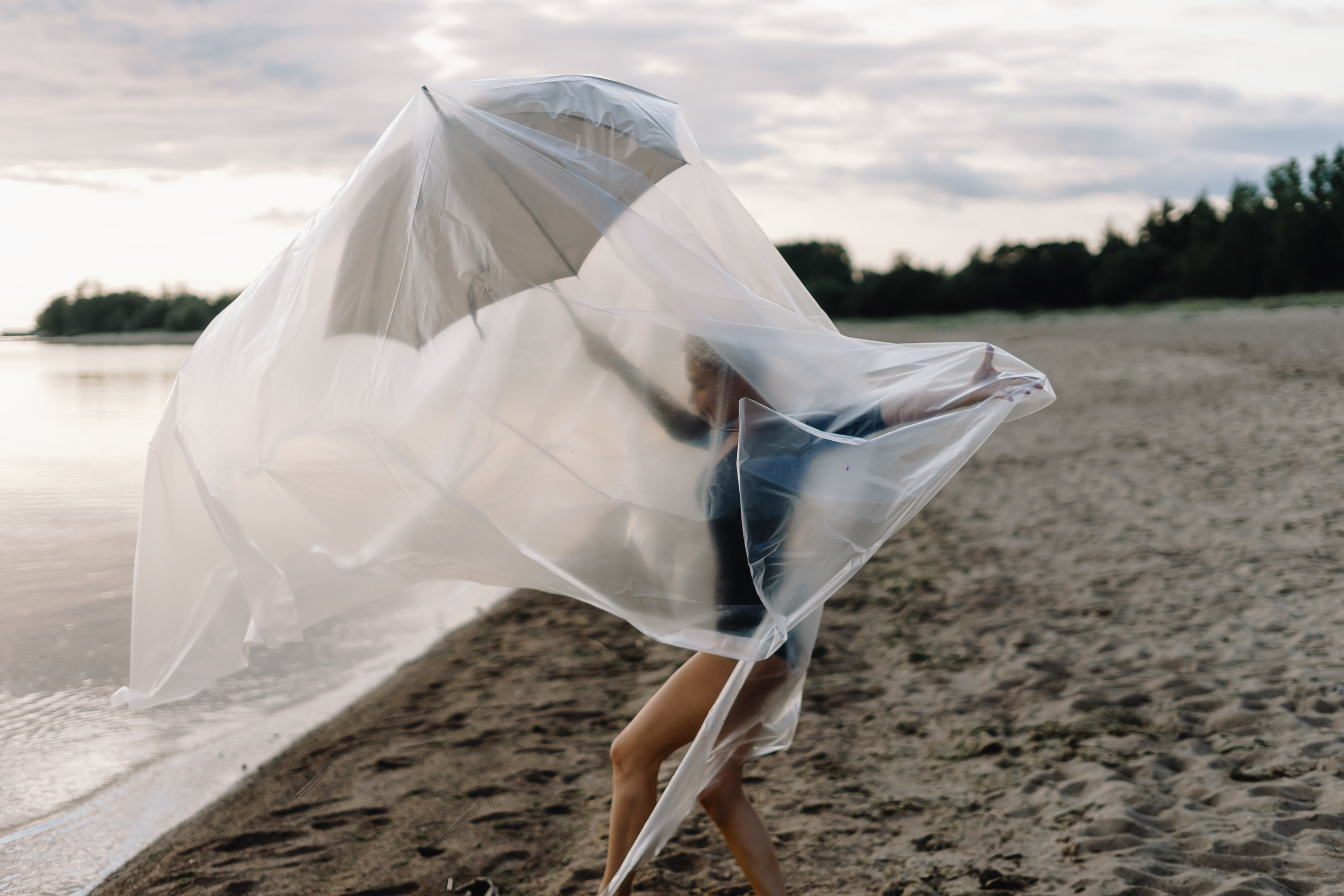 Octopus. Photographer Natalia Baranova