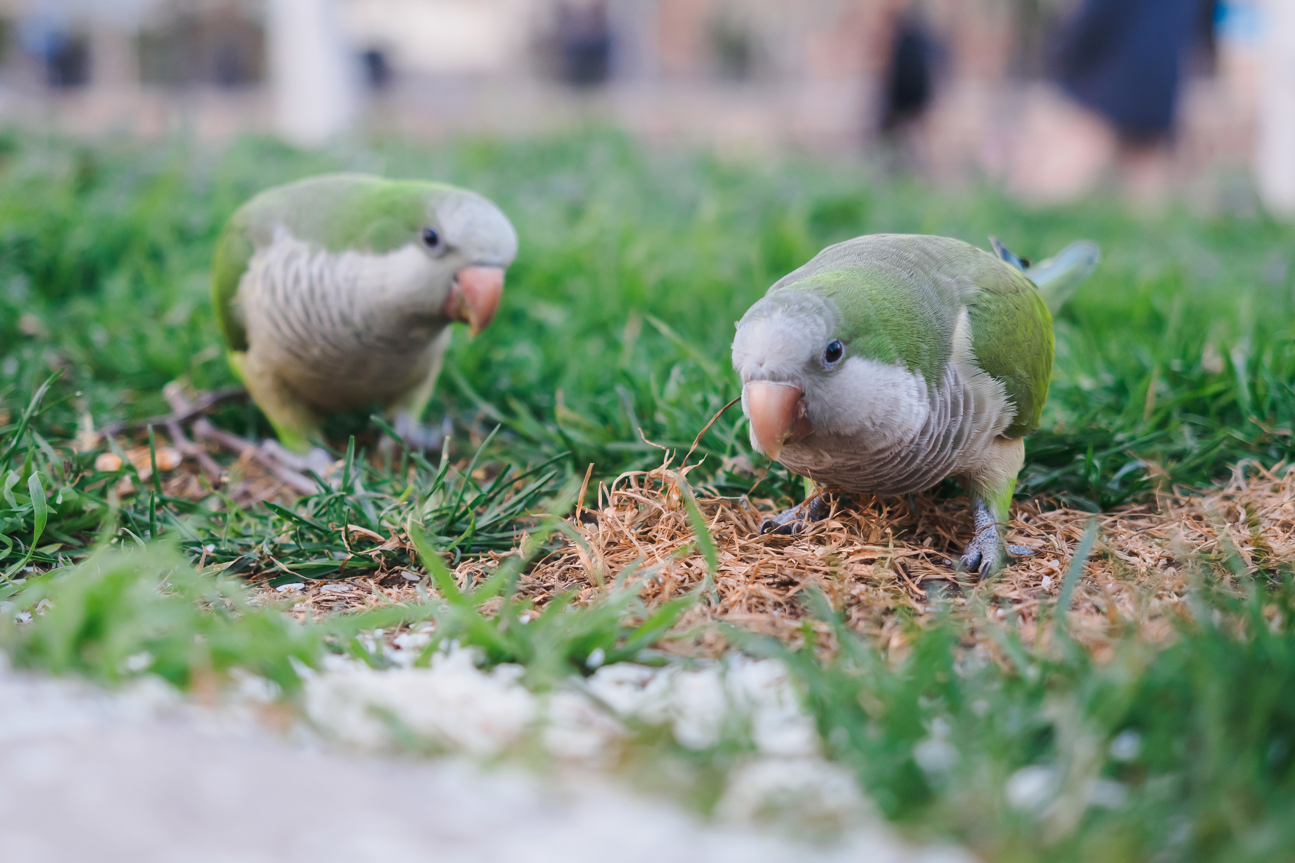 Spain. Photographer Natalia Baranova
