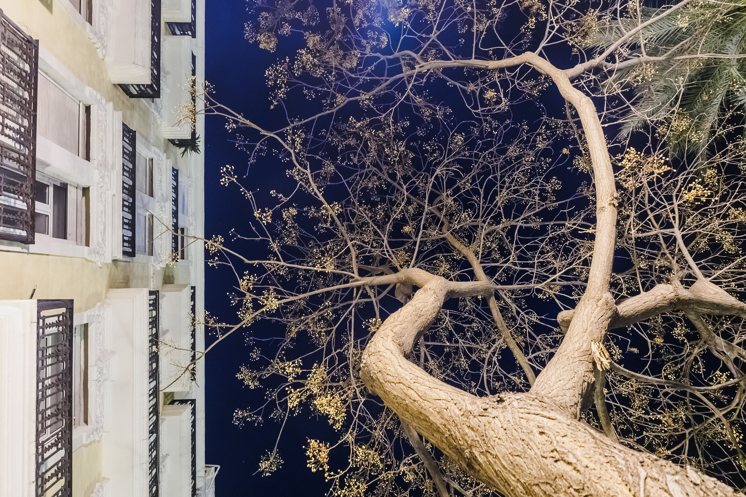 Spain. Photographer Natalia Baranova