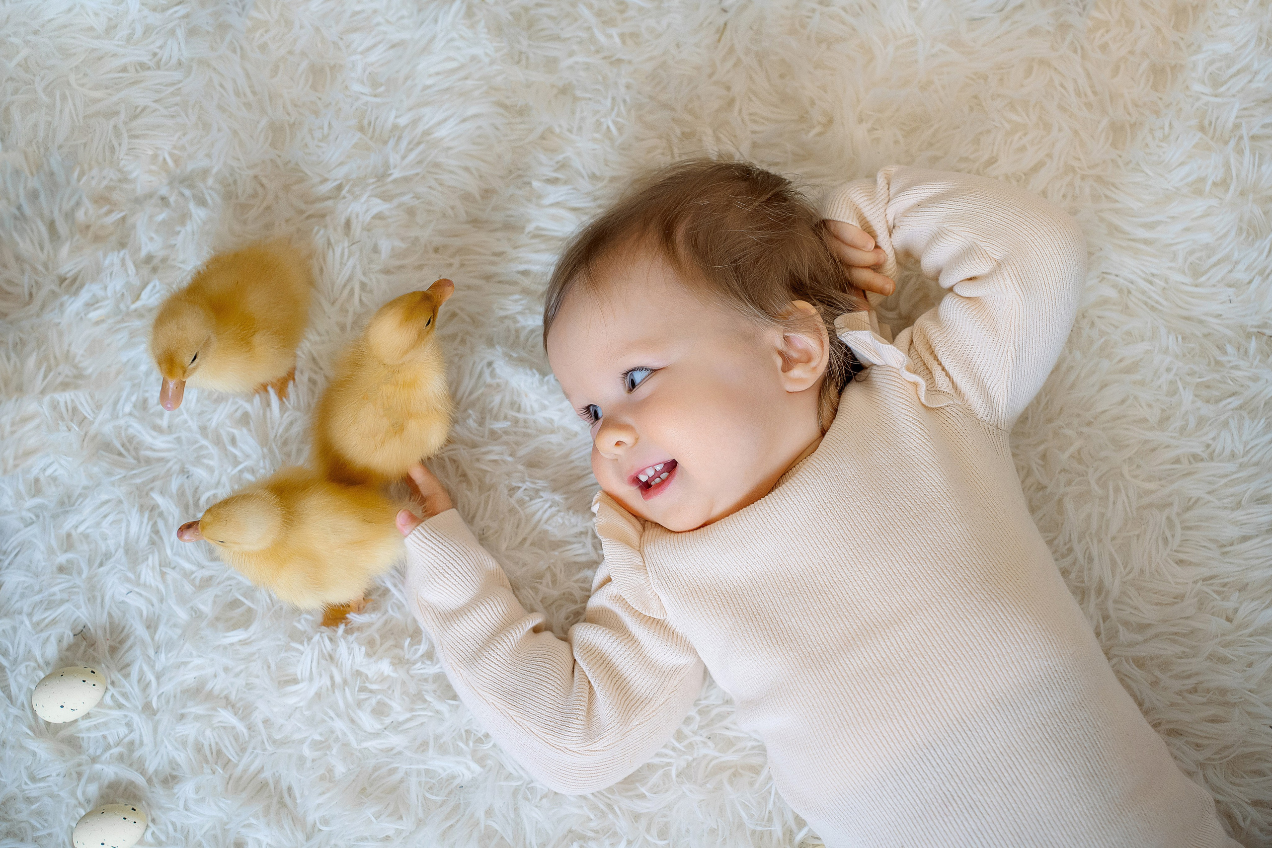 Утята. Фотограф Казакова Анастасия