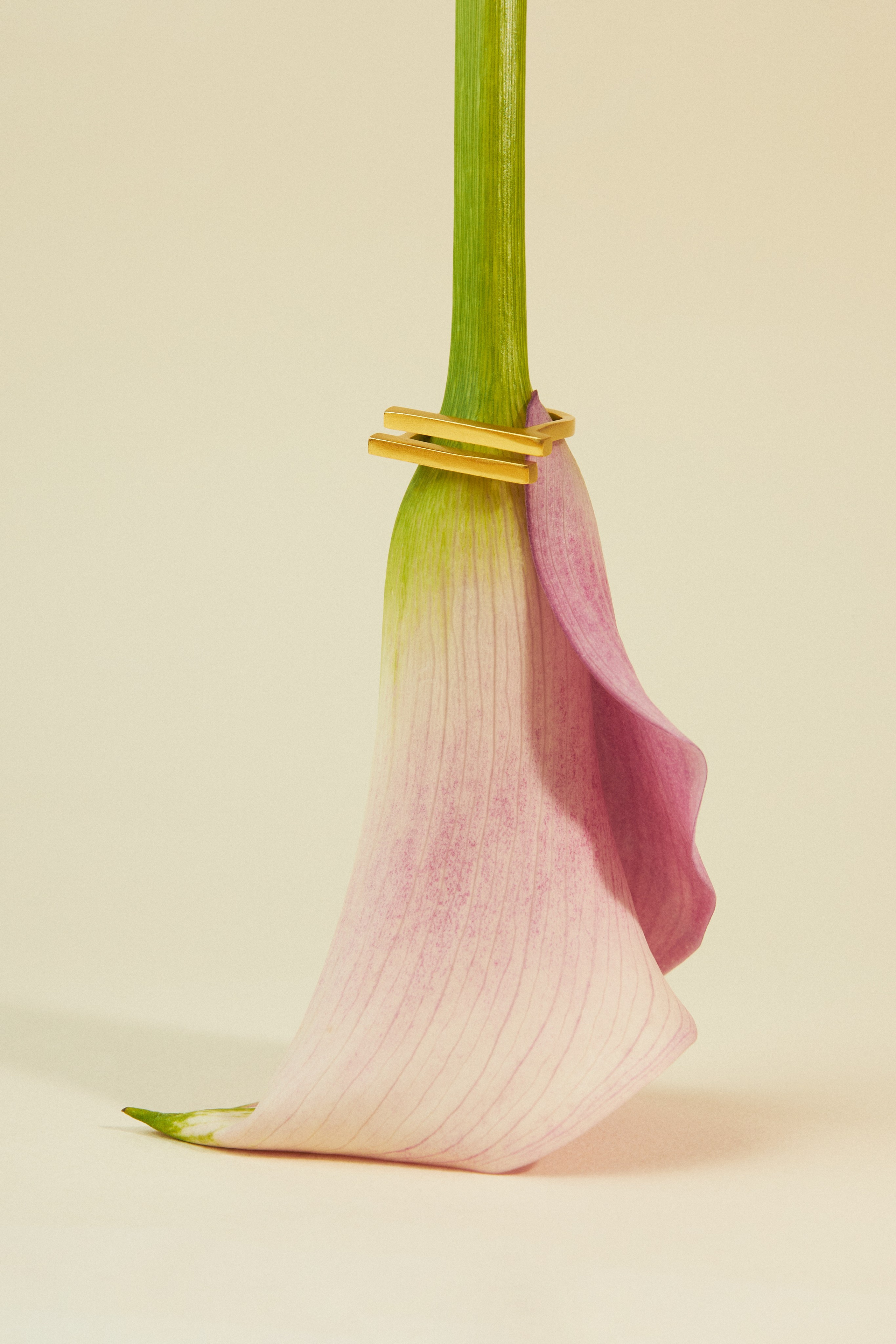 Rassvet Detail. Предметный фотограф Москва Глухарёва Оля