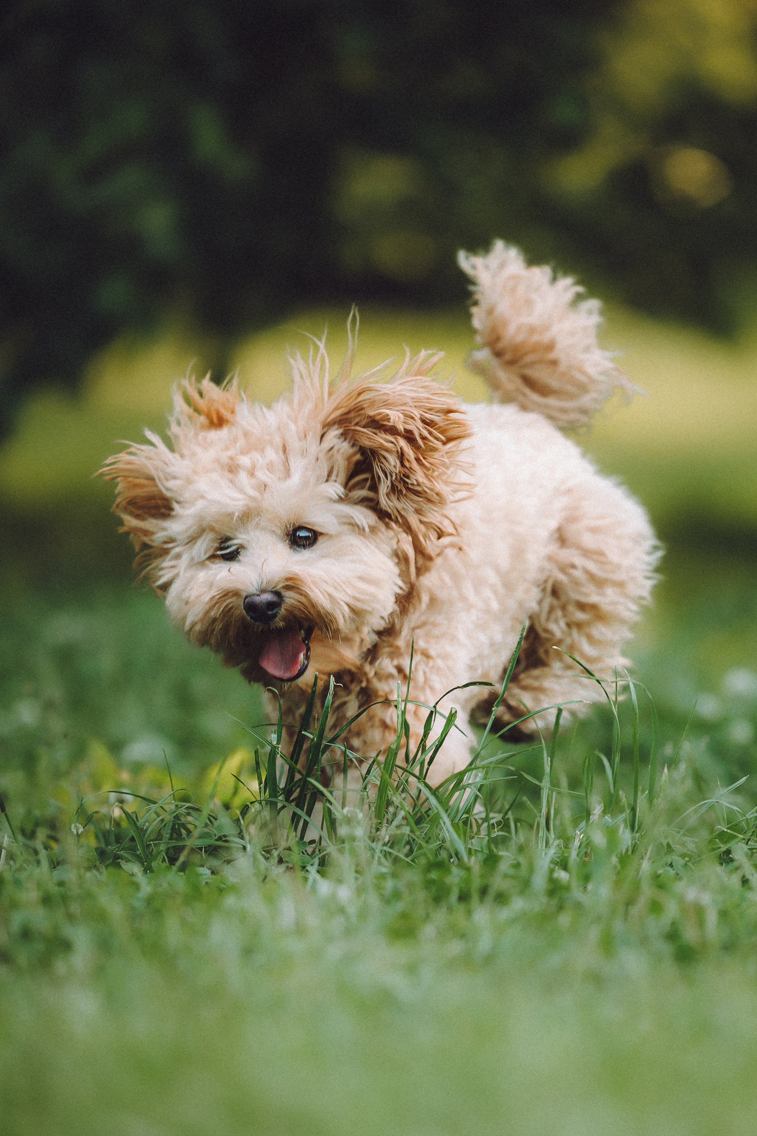 Фред и его семья