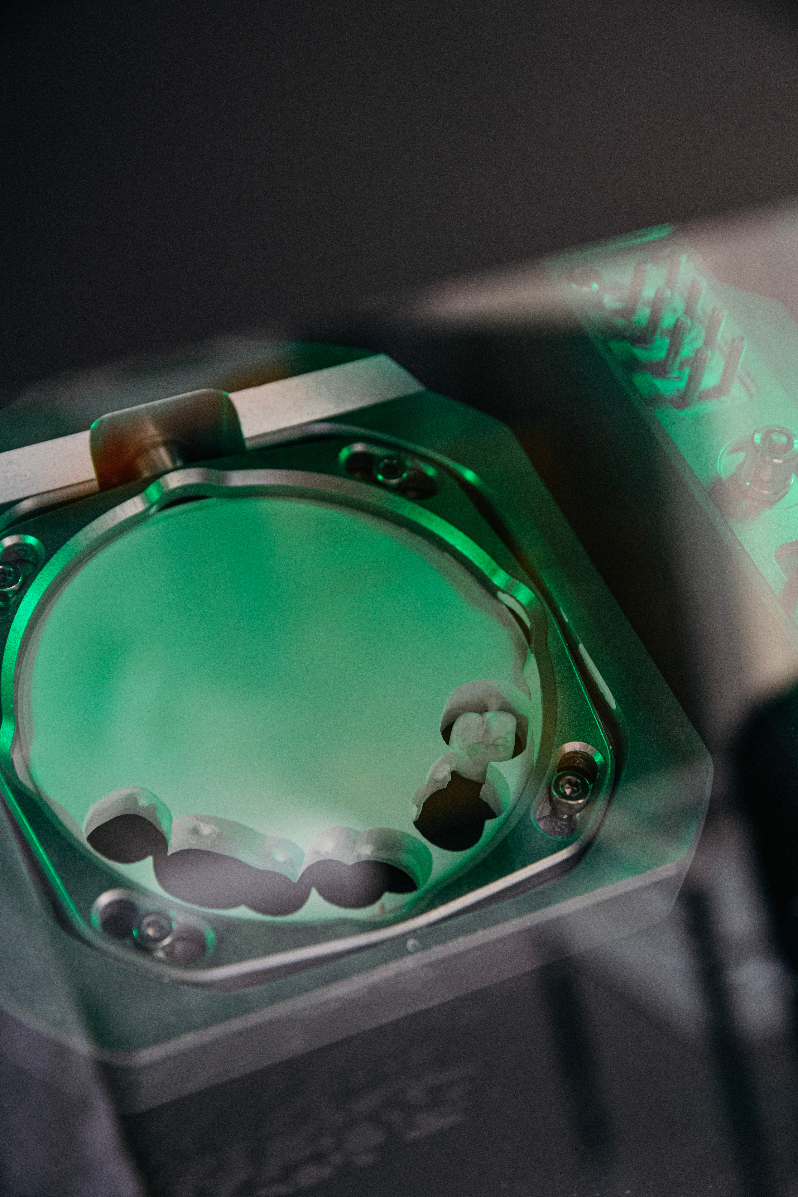 Стоматология. Беккер Таня