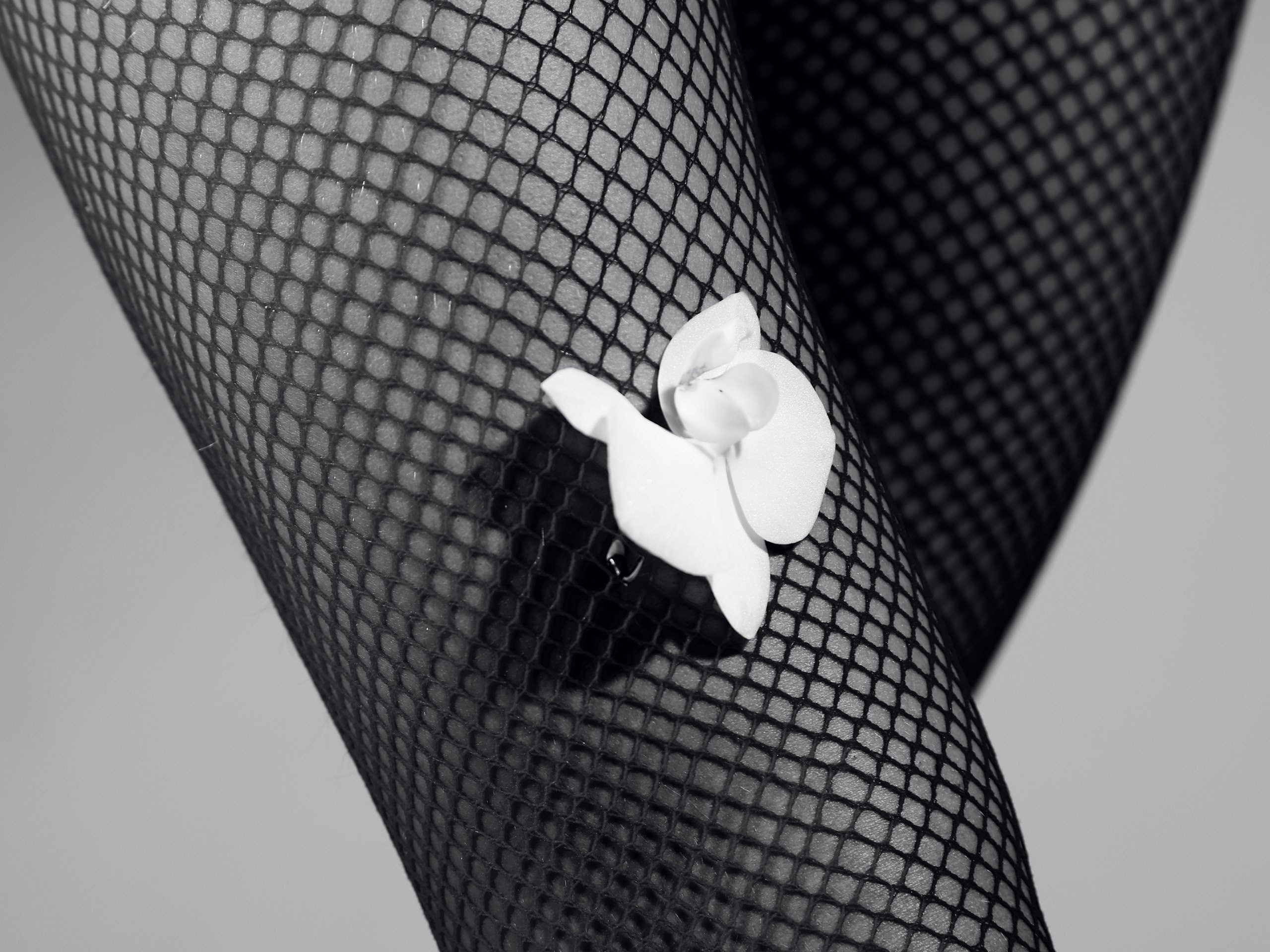 Портреты. Ася Бобрицкая — мультидисциплинарый художник