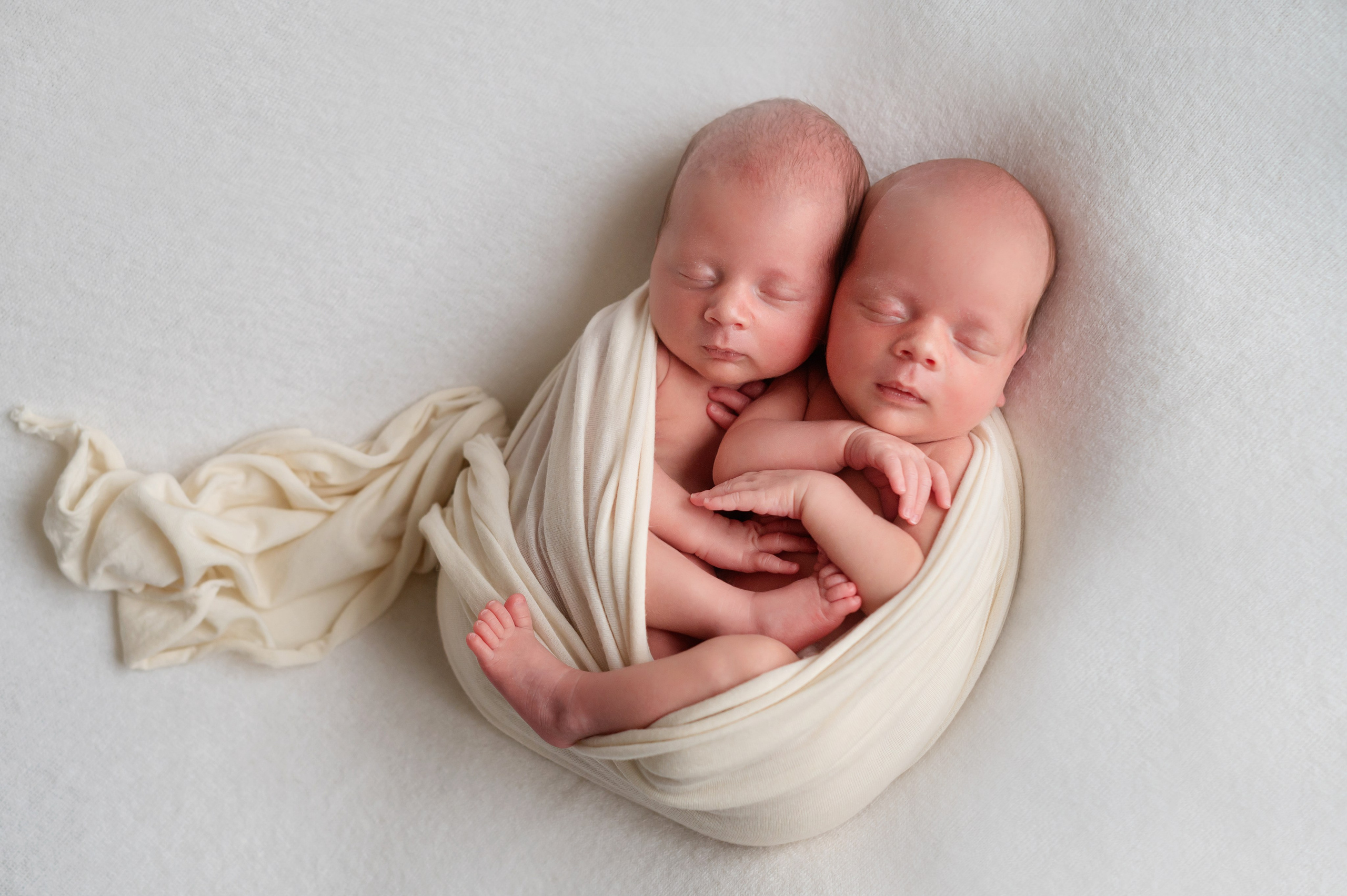 Вера и Диана 10 дней. Фотограф новорожденных Елена Панова