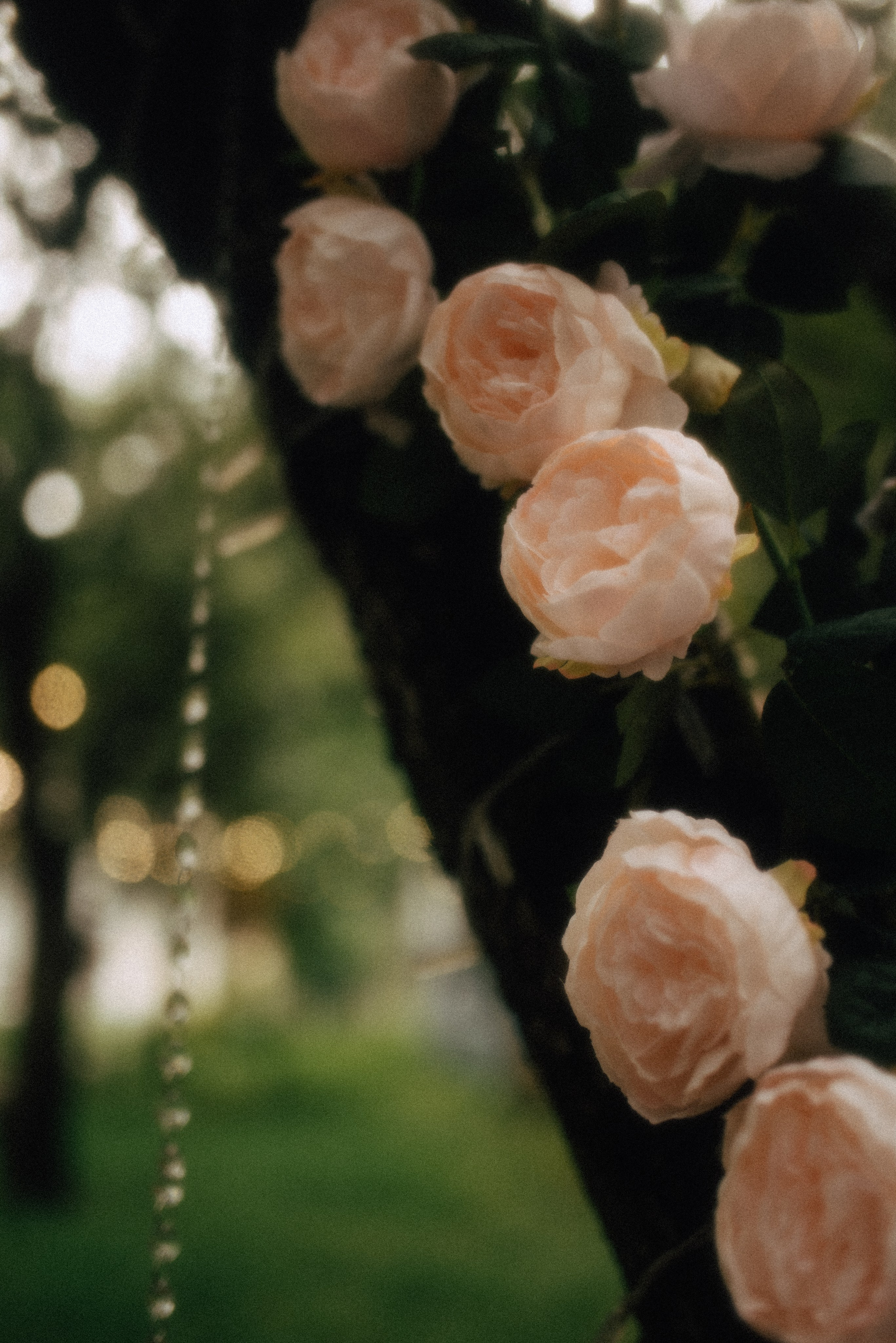 Евгений и Виолетта | Полный свадебный день. Москва. Фотограф Санкт-Петербург, Новороссийск