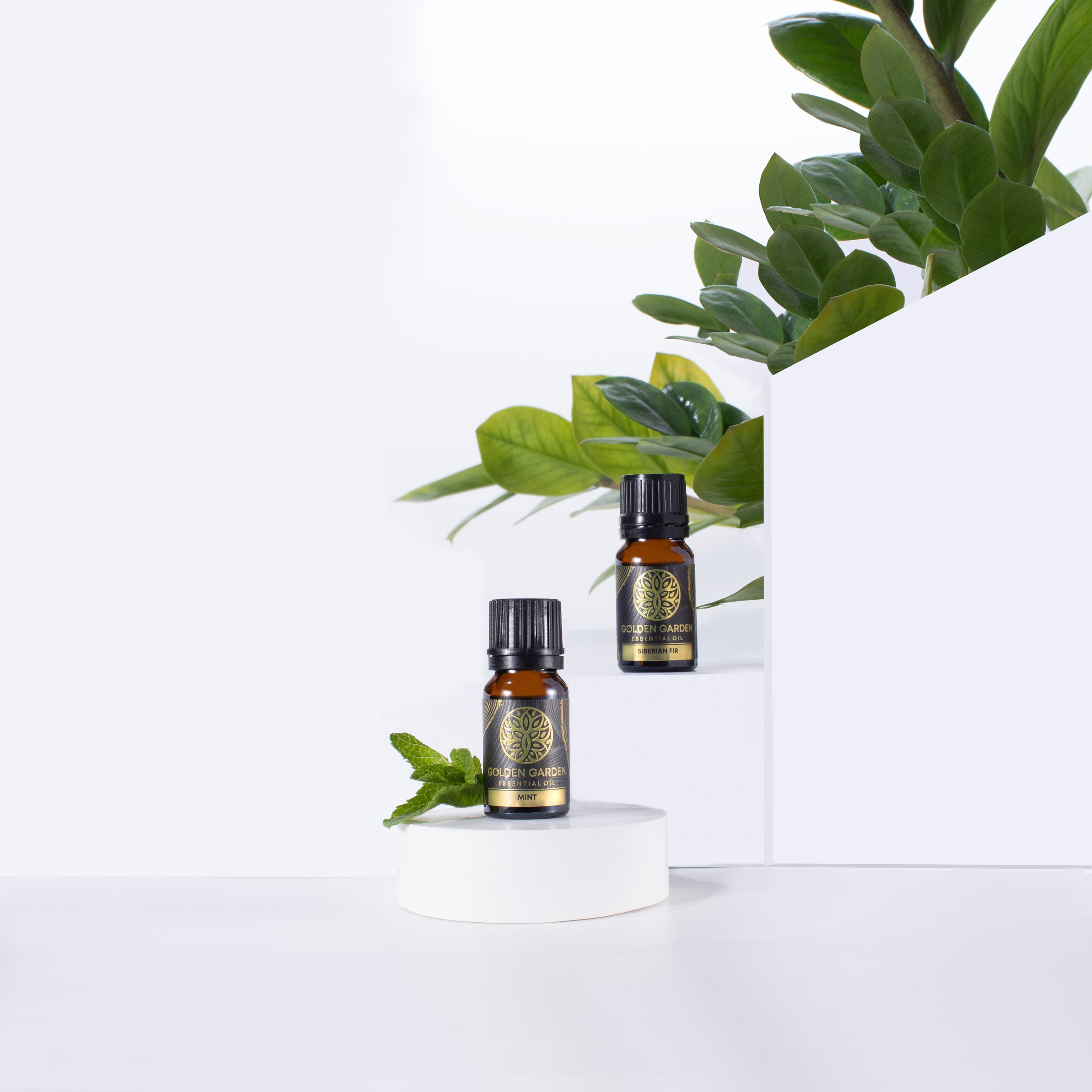 Аромамасла. Предметная фотография