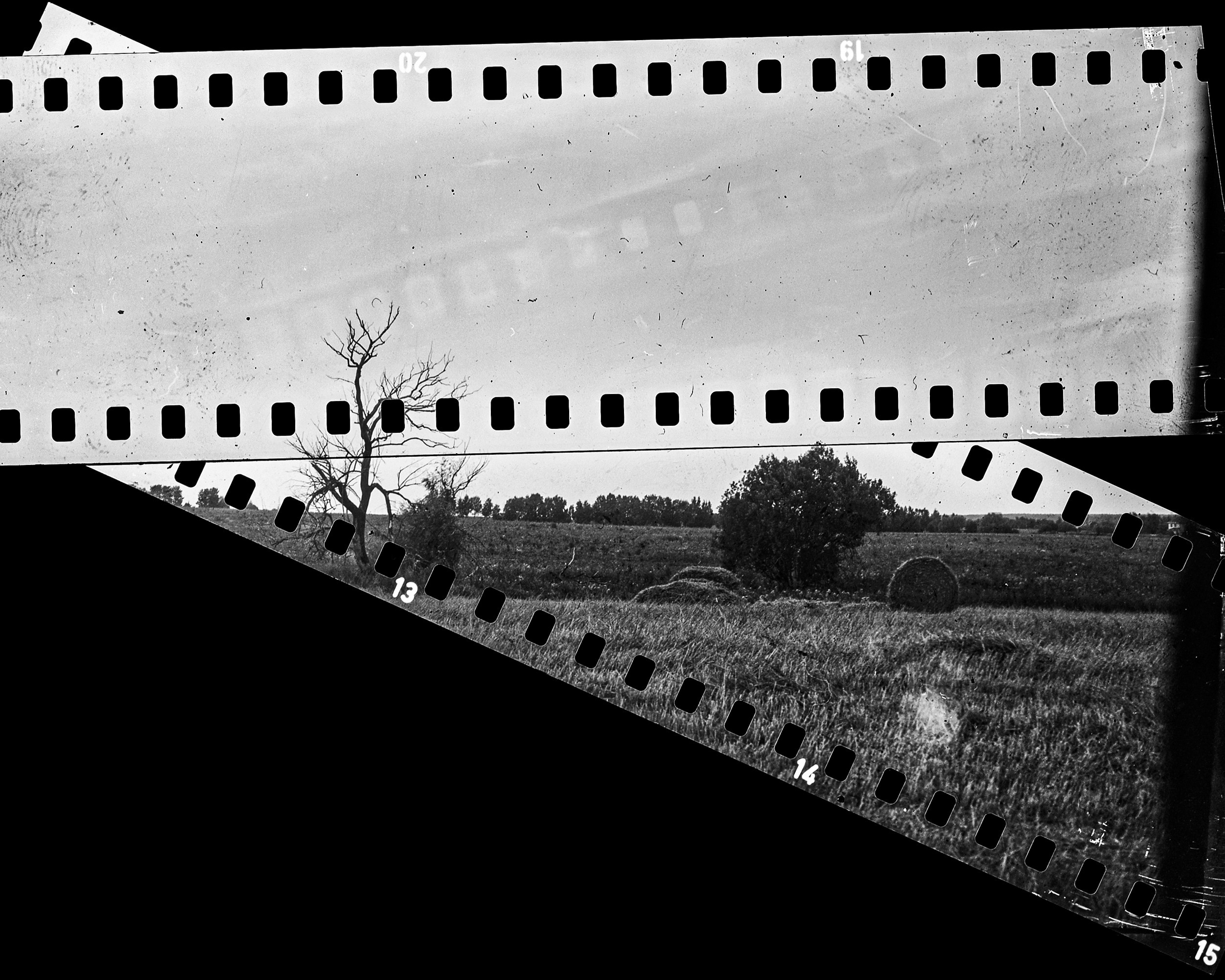 AGFA Aviphot 80
