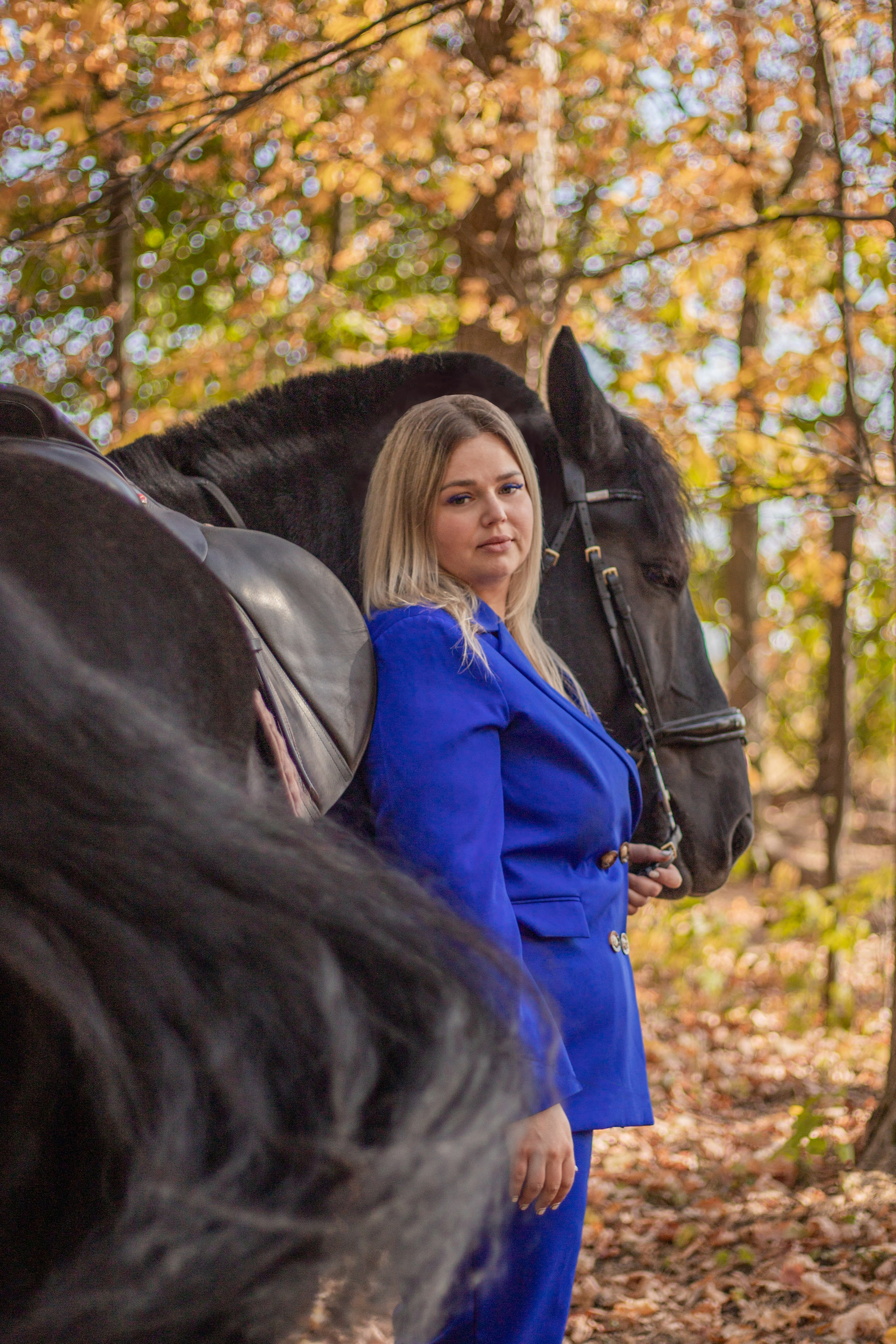 Фотосессии с лошадьми. Фотосессии с лошадьми в Москве и МО