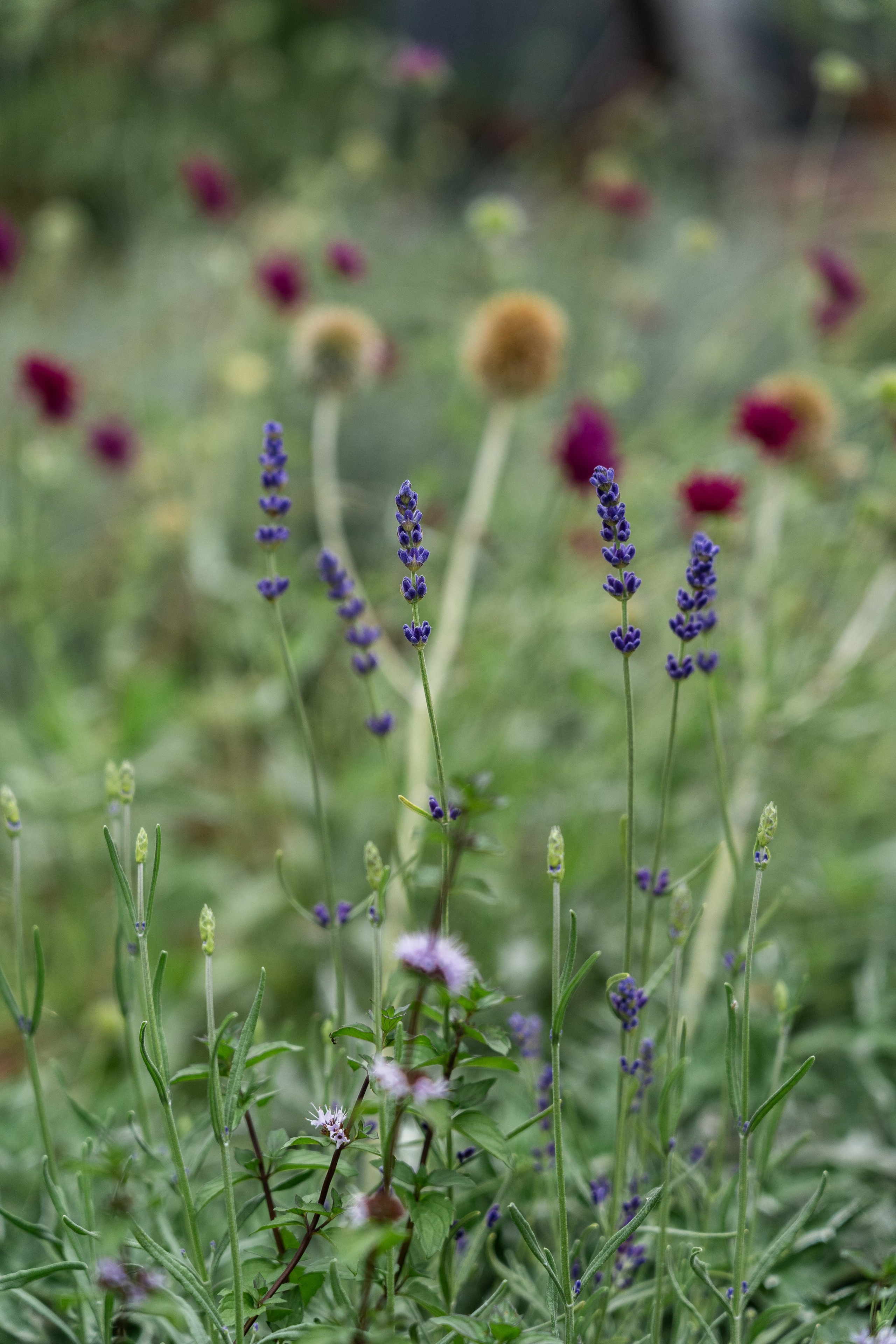 Private house, Moscow region. Артамонов Александр | Архитектурный и ландшафтный фотограф