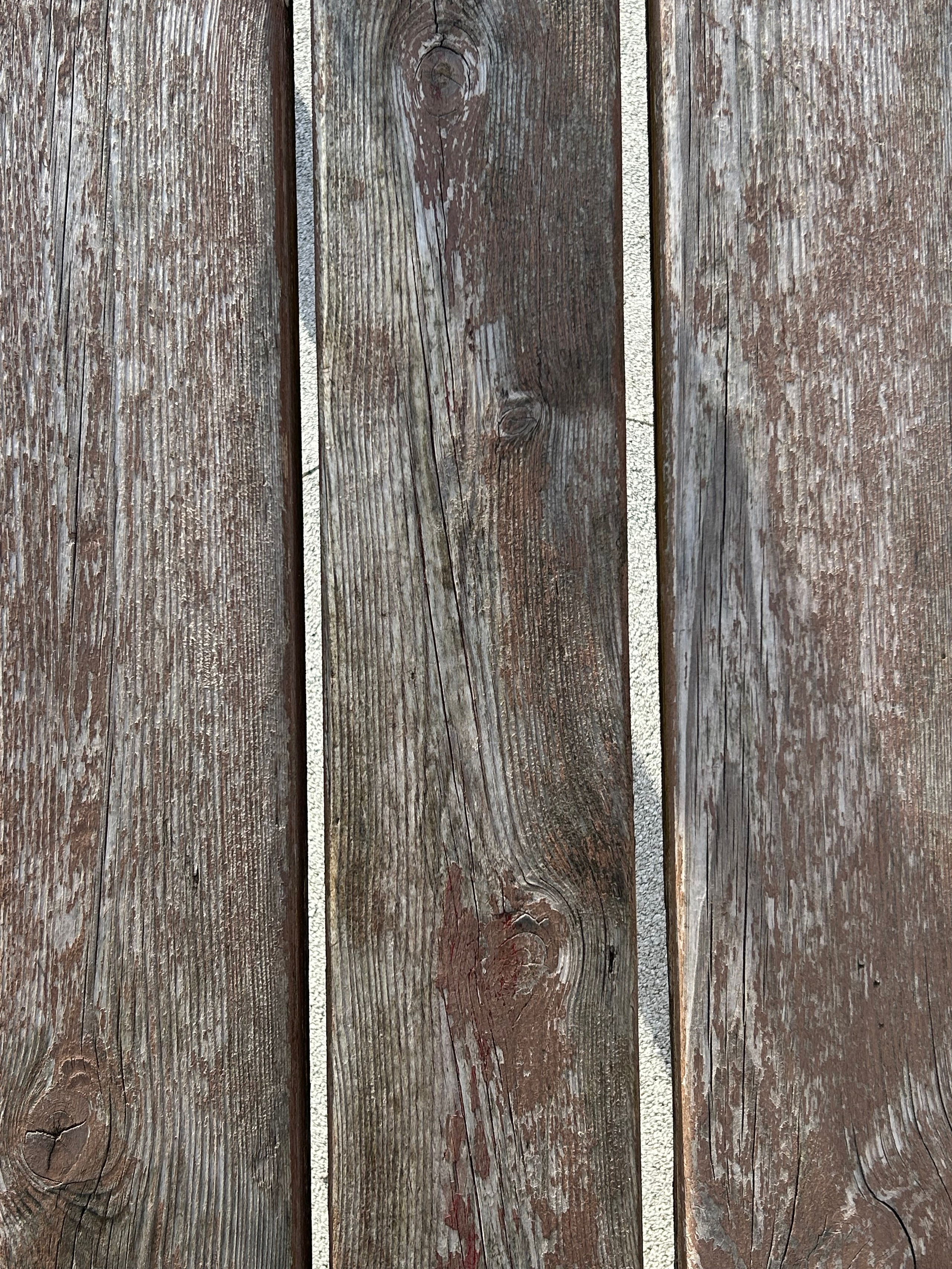 Текстуры. Фотокружок «Видоискатель» ГБОУ СОШ № 291