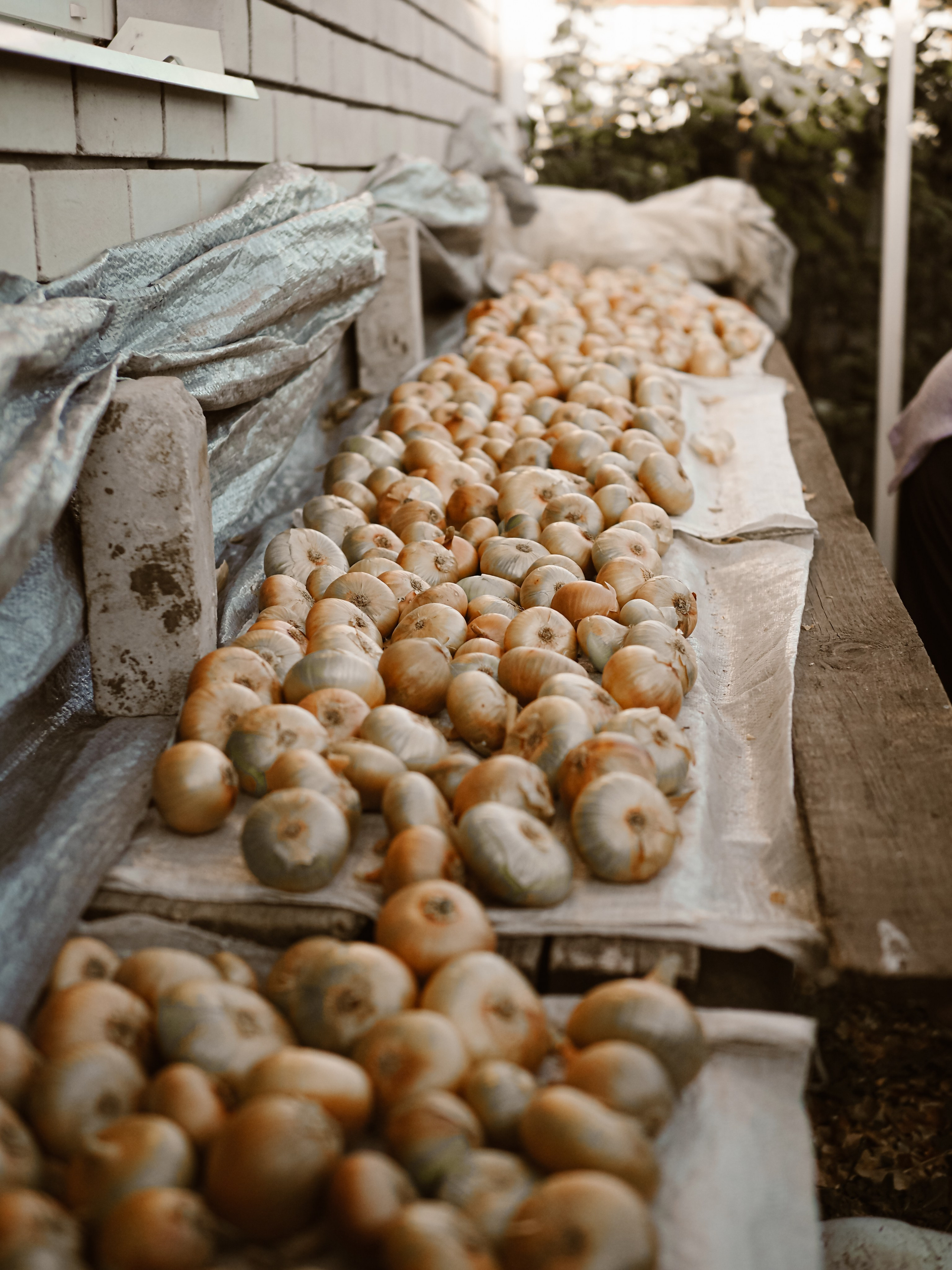 Поколения. Фотограф Рязань. Семейный Свадебный фотограф